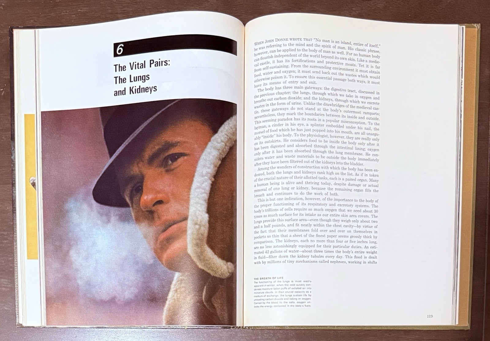 The Body by Alan E. Nourse, Time Life Science Library. Entertaining To Read Look