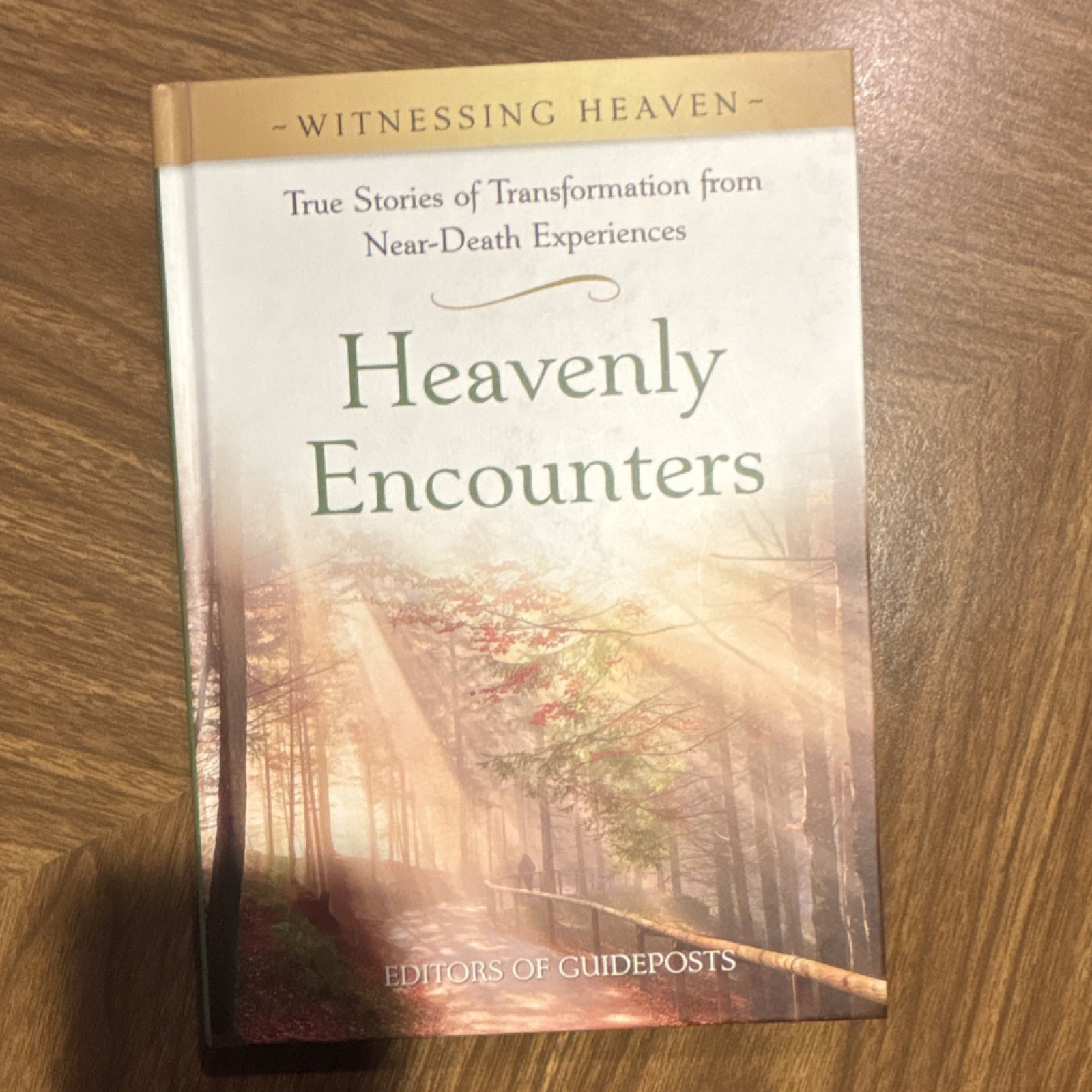 Guideposts Witnessing Heaven 5-Book Hardcover Set Near-Death Experiences