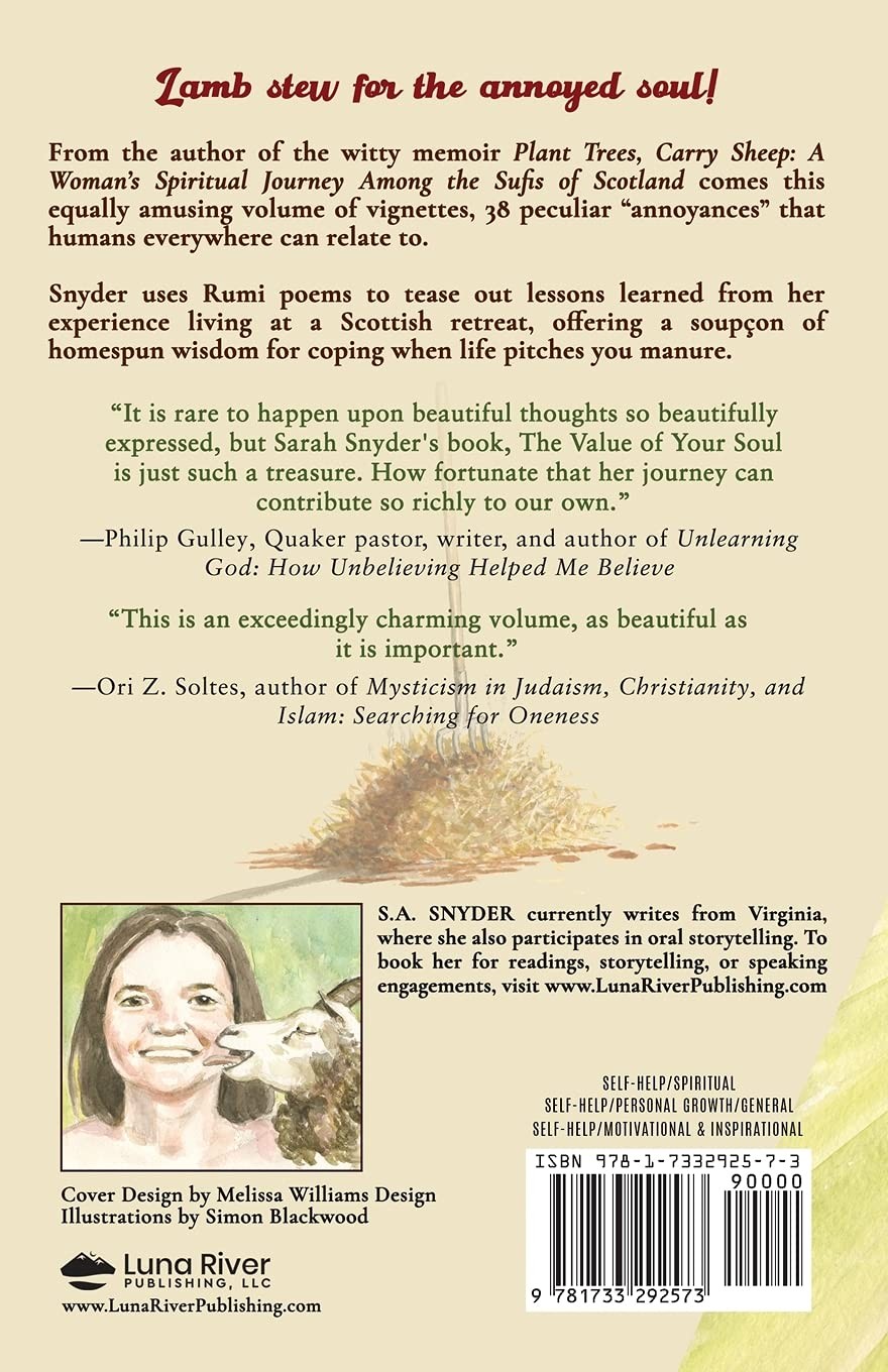 The Value of Your Soul: Lessons in Dealing with Life’s Annoyances Paperback by