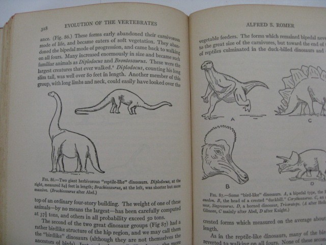 THE NATURE OF THE WORLD AND OF MAN -1933 Scientists of the University of Chicago