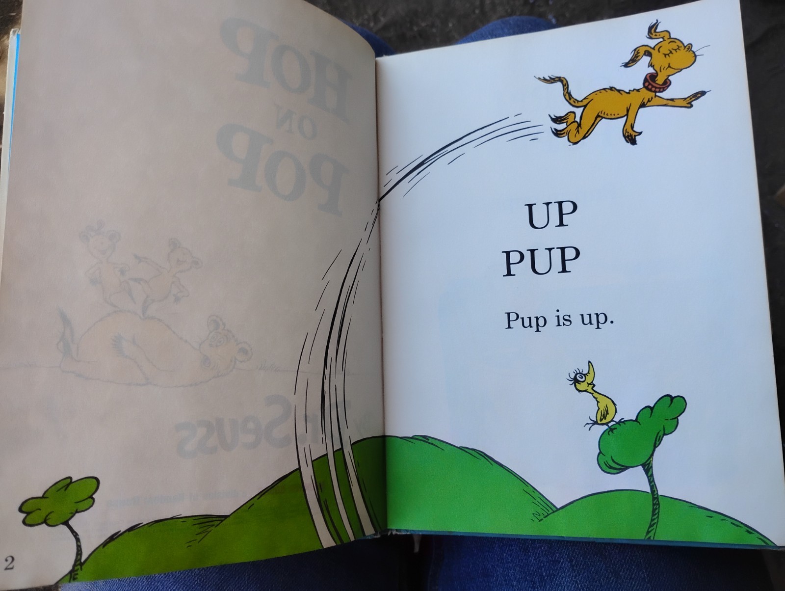 First Edition Autographed Hop on Pop by Dr. Seuss