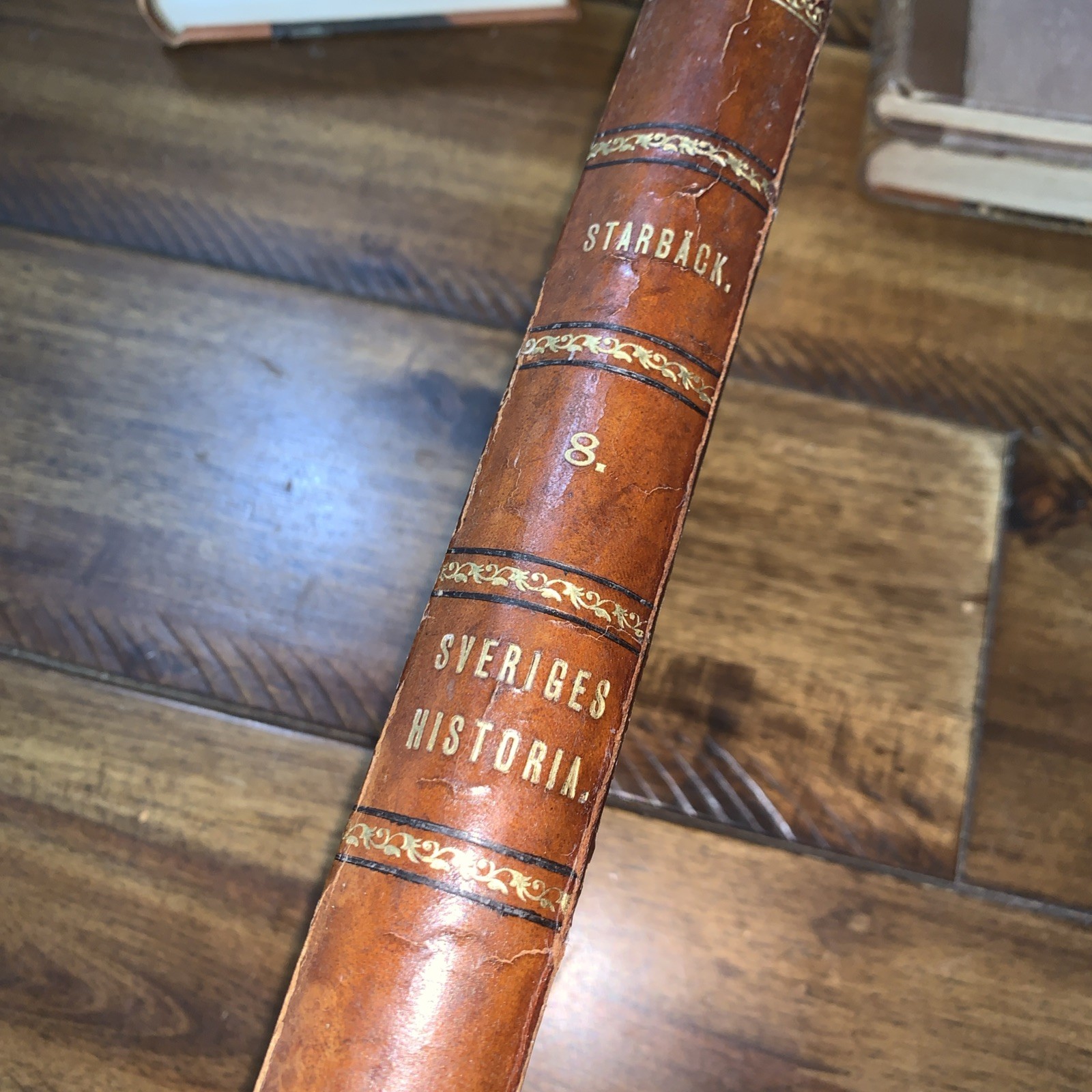 History of Sweden -Georg Starbac 1886 F&G Beijers Firlag Stolholm