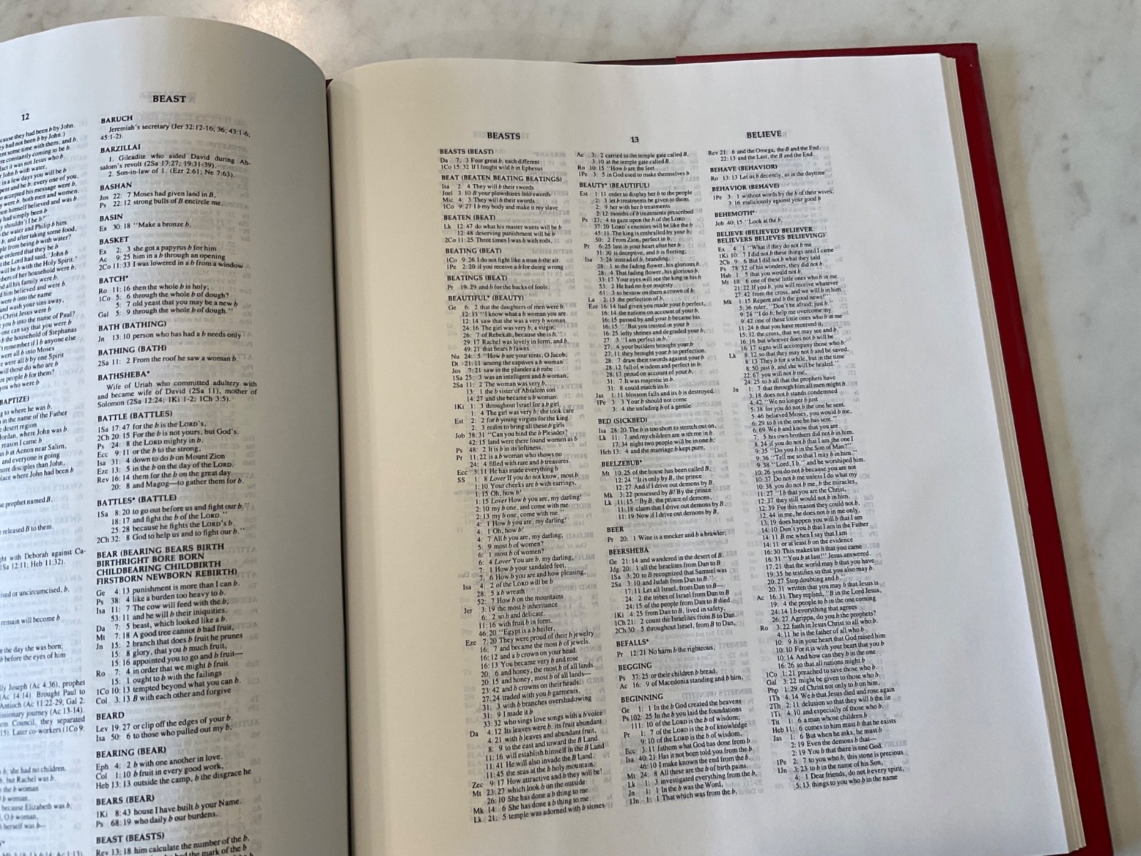 NIV Wide Margin Reference Bible Cambridge Hardcover Text 1984