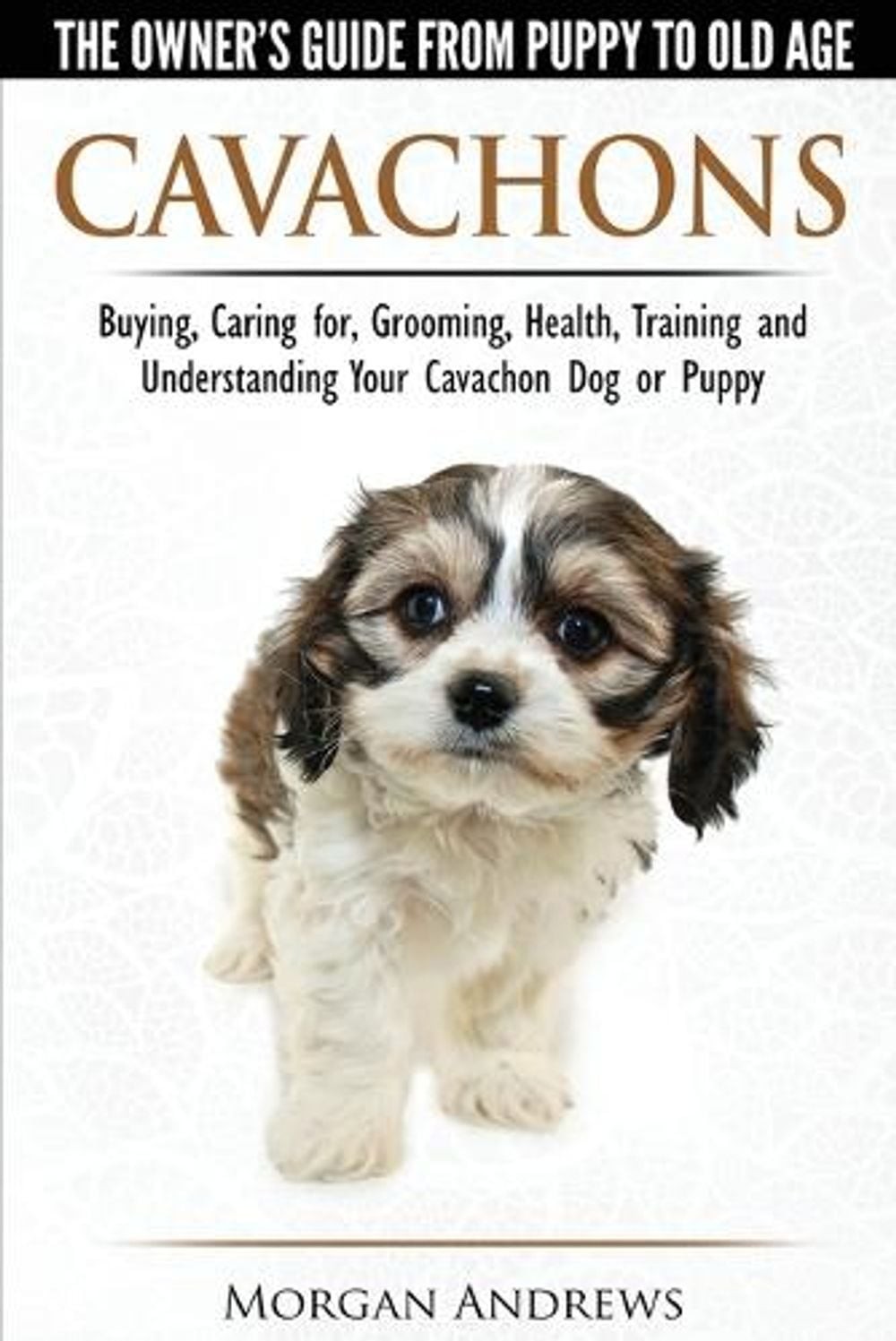 Cavachons – The Owner’s Guide from Puppy to Old Age – Choosing, Caring for, Groo