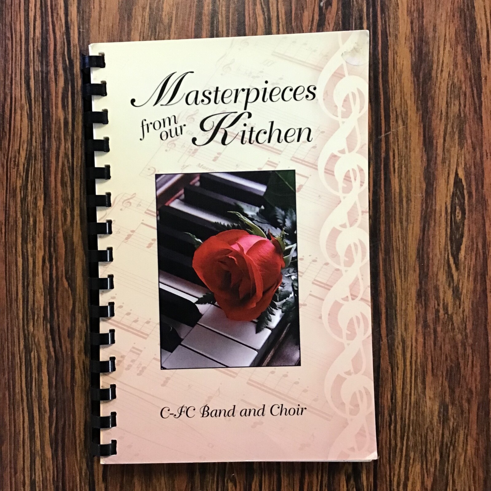 Fountain City Wisconsin School Band Choir 2004 Vgt Cookbook. SEE index photos