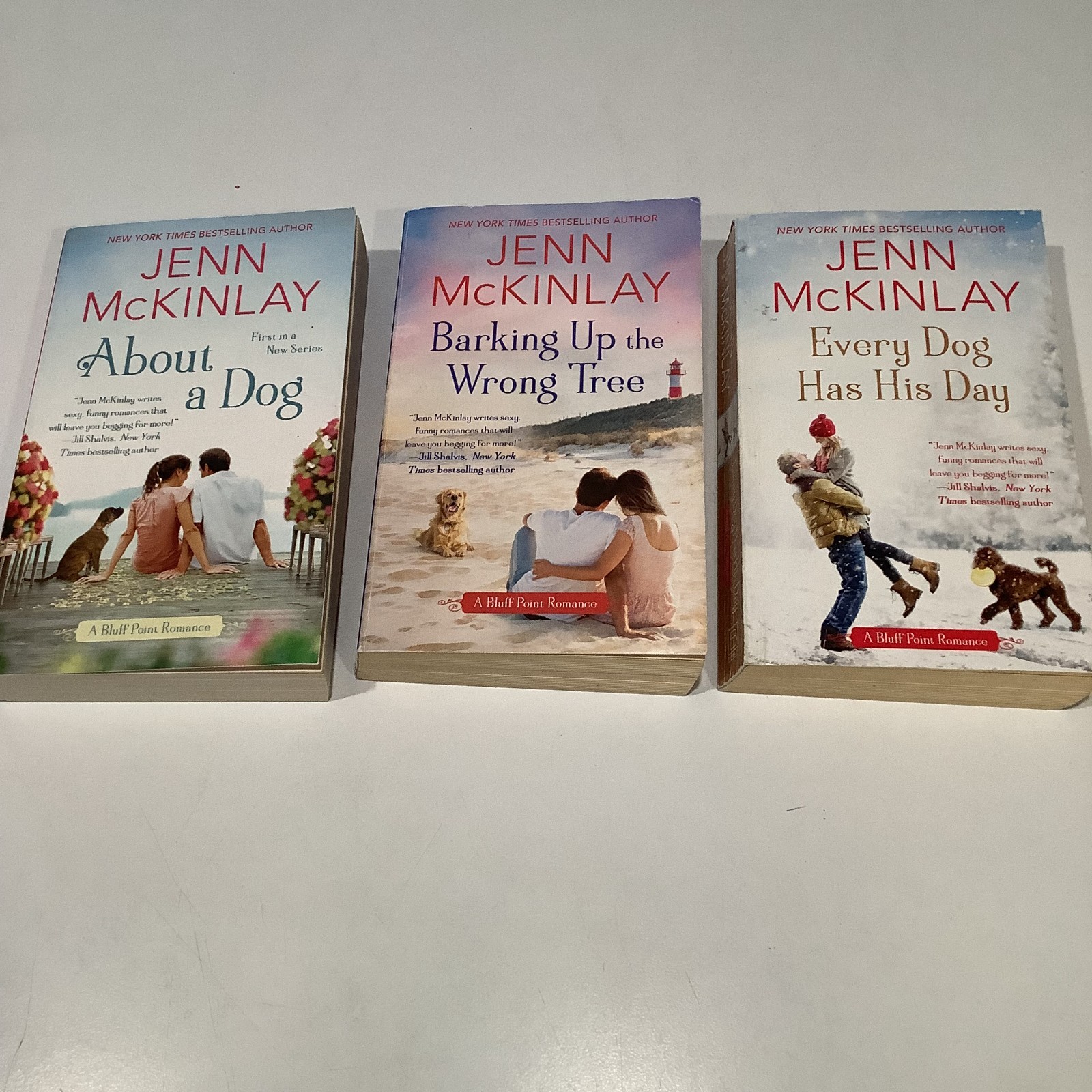 Jenn McKinlay books 3 standalone, 2 Cupcake Bakery Mystery, 3 Bluff Point