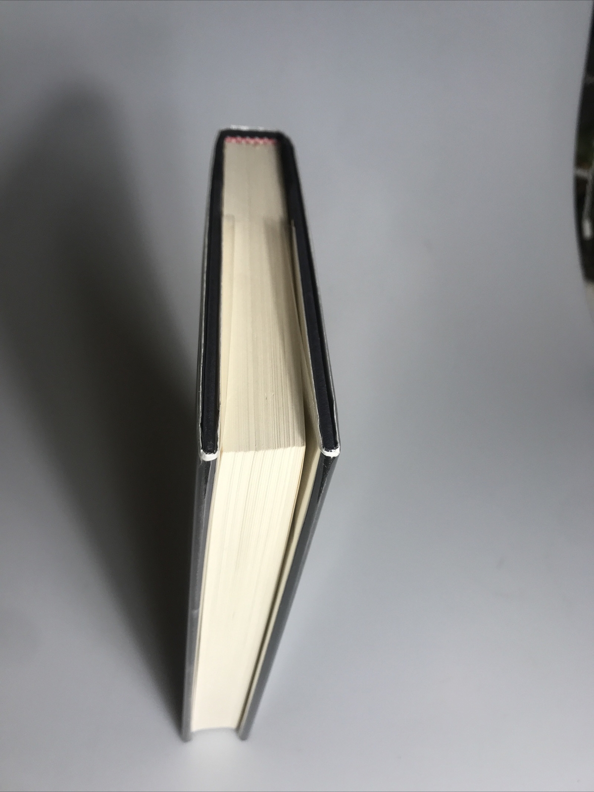 Blood Stone: Allegretto, Michael Hardcover 1st