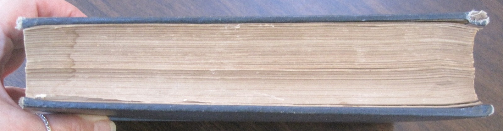Antique 1891 1st Edition SEAS & LANDS by Sir Edwin Arnold BEAUTIFUL PHOTOS!