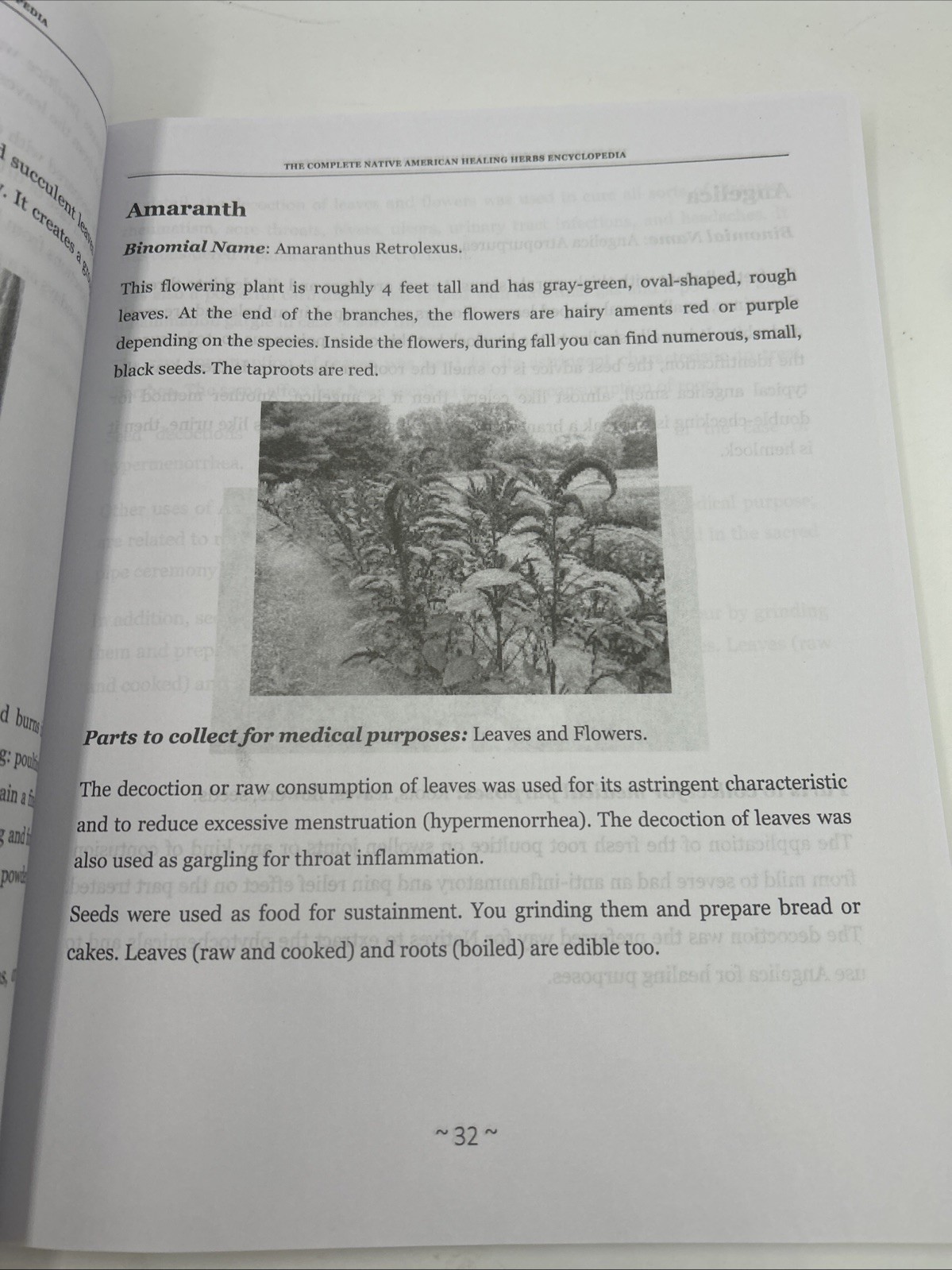 The Complete Native American Healing Herbs Encyclopedia -Hialeah Garcia Navarro