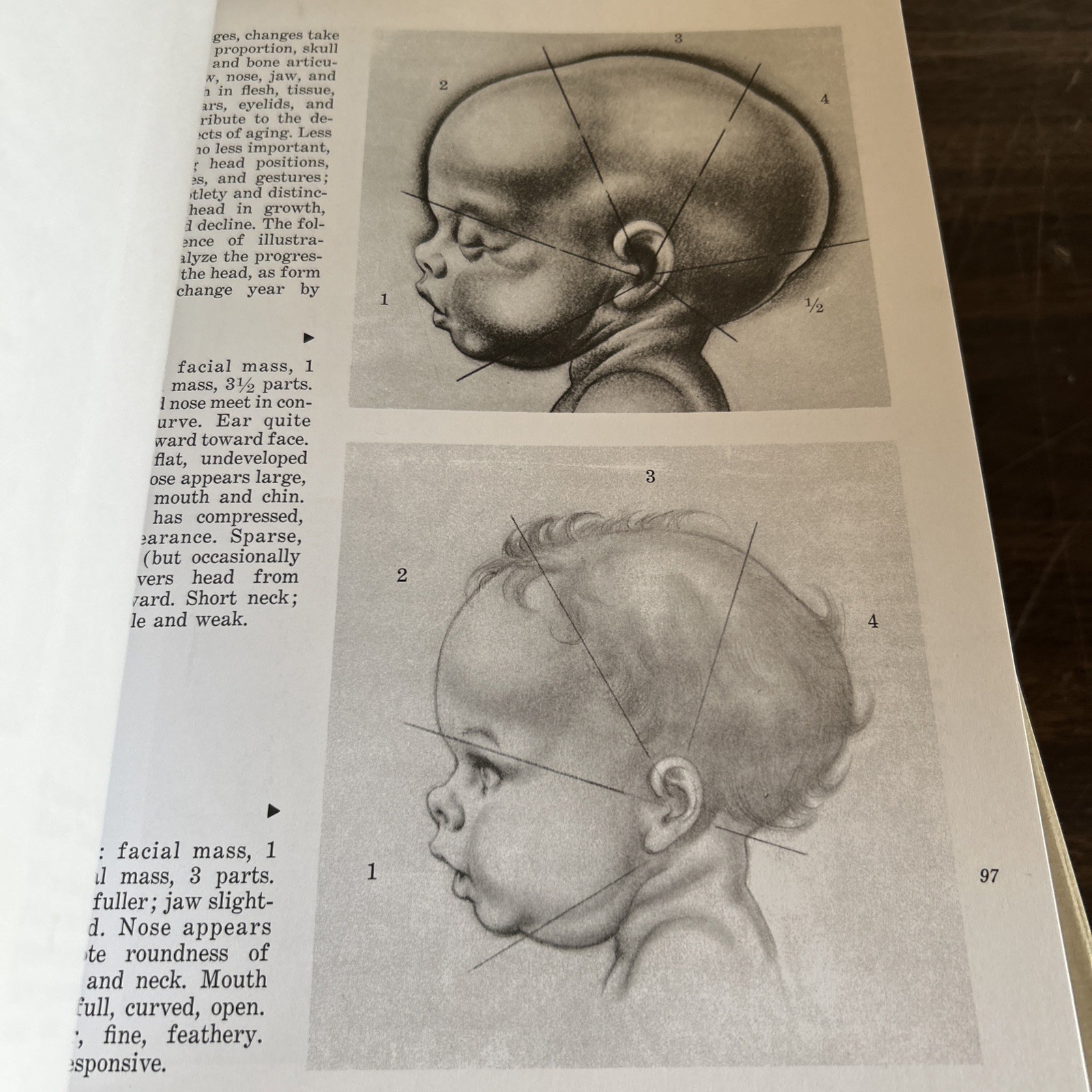 Drawing the Human Head – Paperback By Hogarth, Burne – VERY GOOD