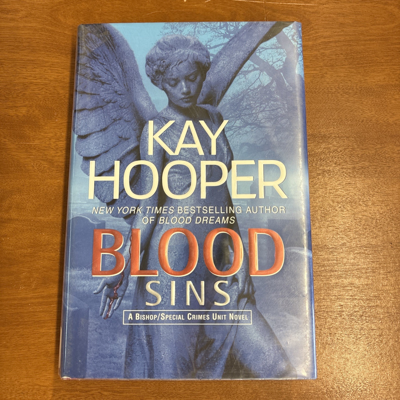 Blood Sins by Kay Hooper (2008, Hardcover)