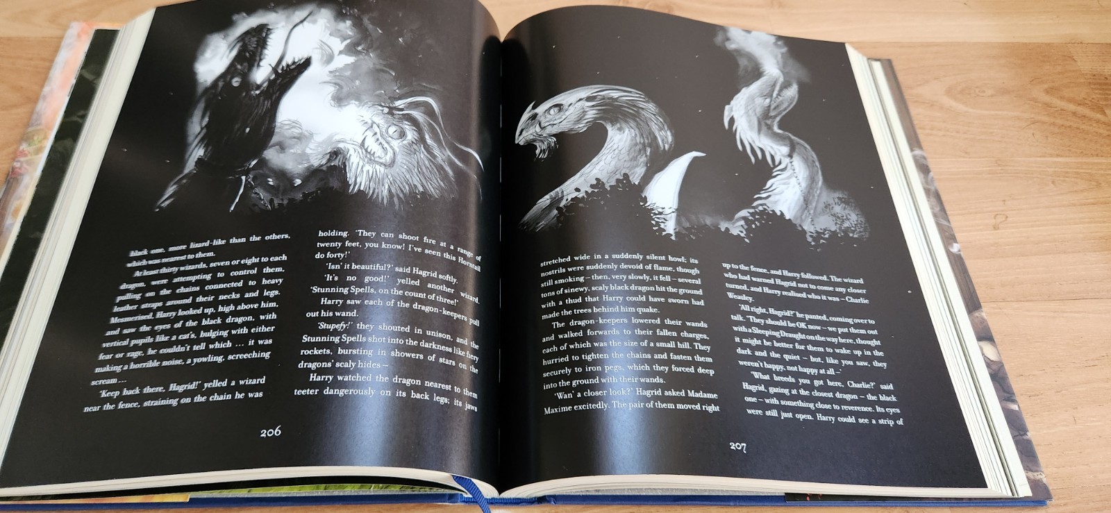 Harry Potter & The Goblet of Fire Illustrated by Jim Kay Hardcover 2019 NEW