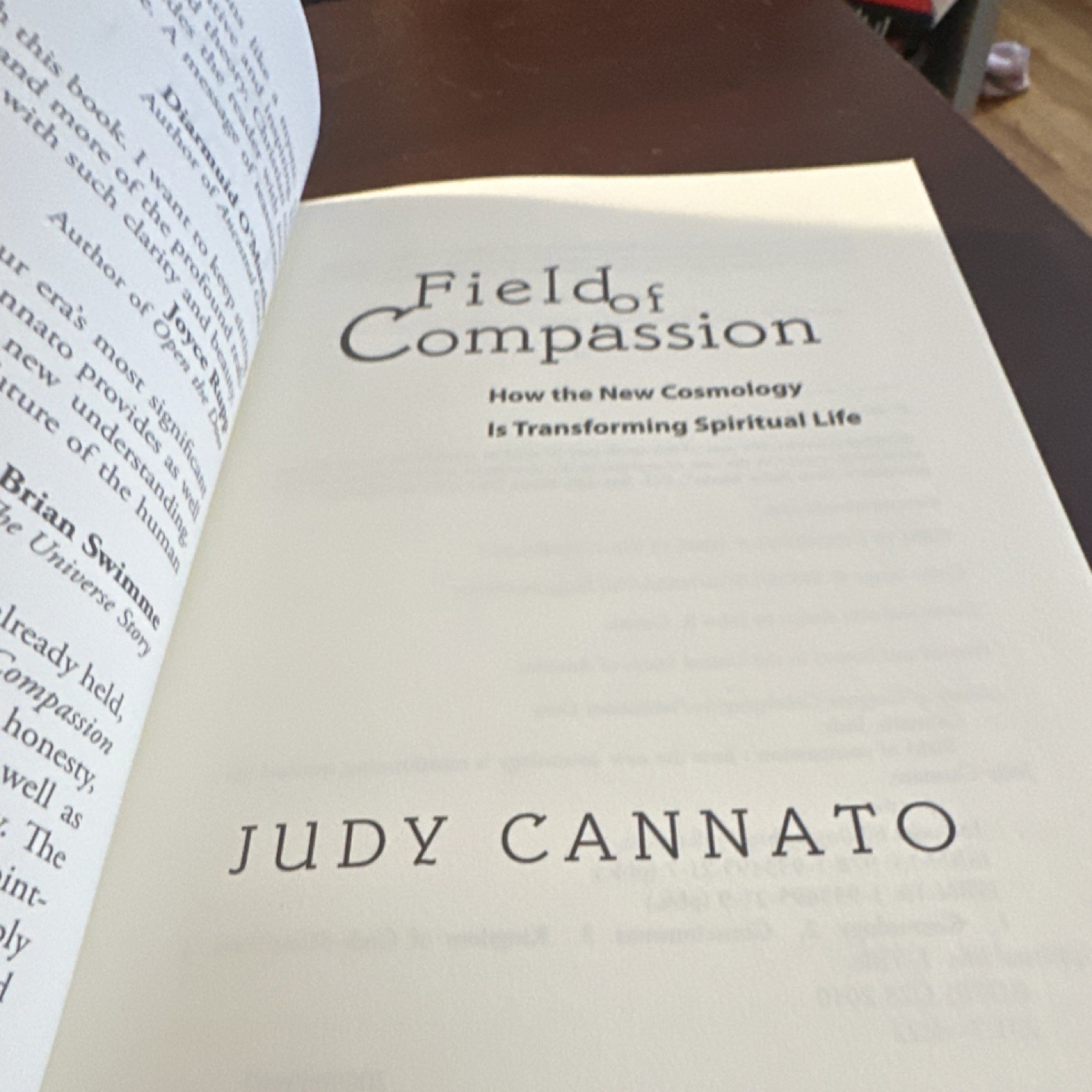AVE Maria Press Field of Compassion Judy Cannato Paperback Spirituality