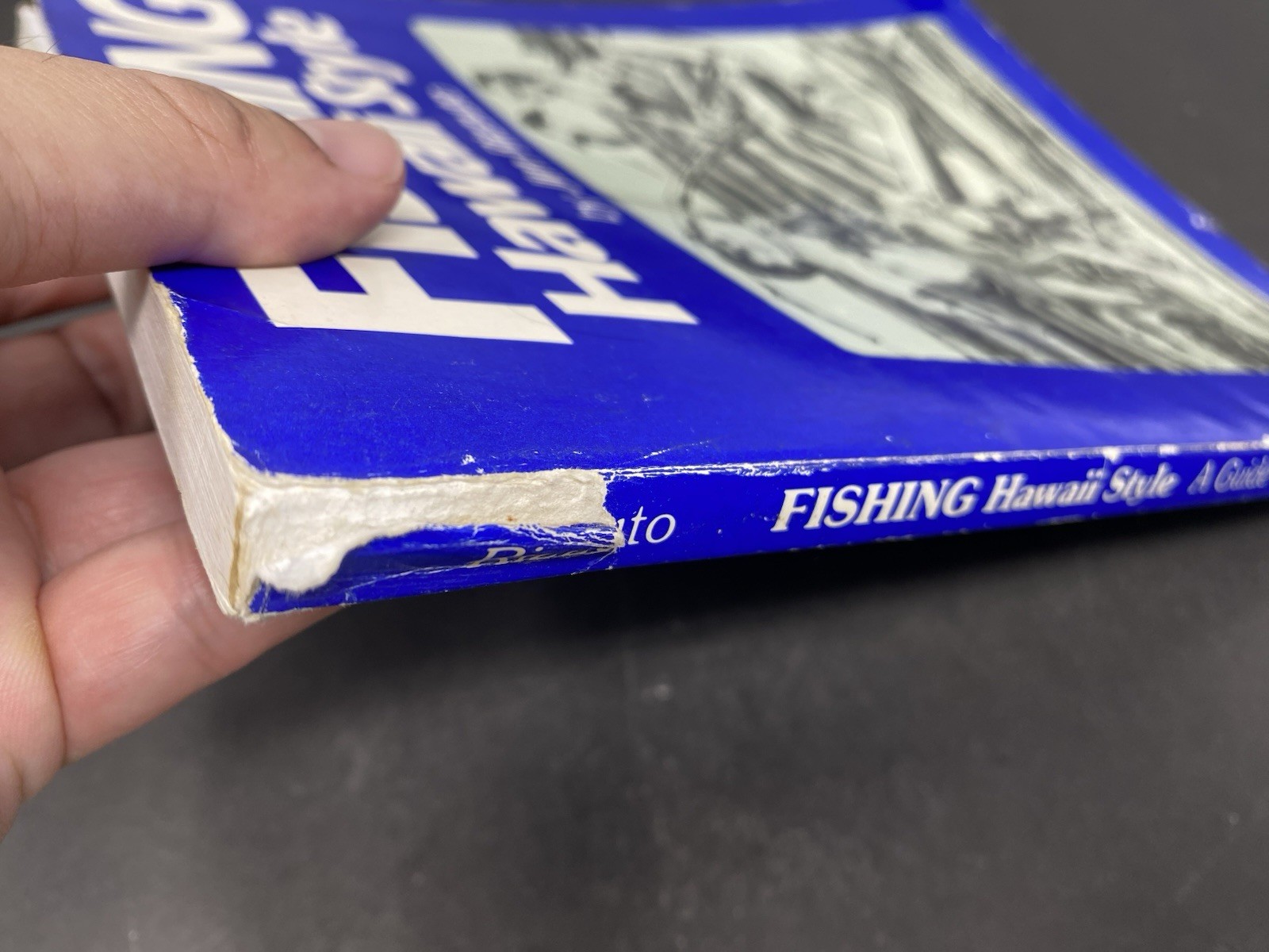 Jim Rizzuto FISHING HAWAII STYLE volume 1 Paperback Jim Rizzuto