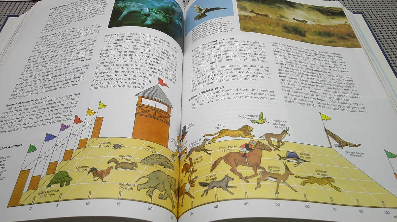 The New Book of Knowledge Vol 1 / A Encyclopedia Grolier 2003