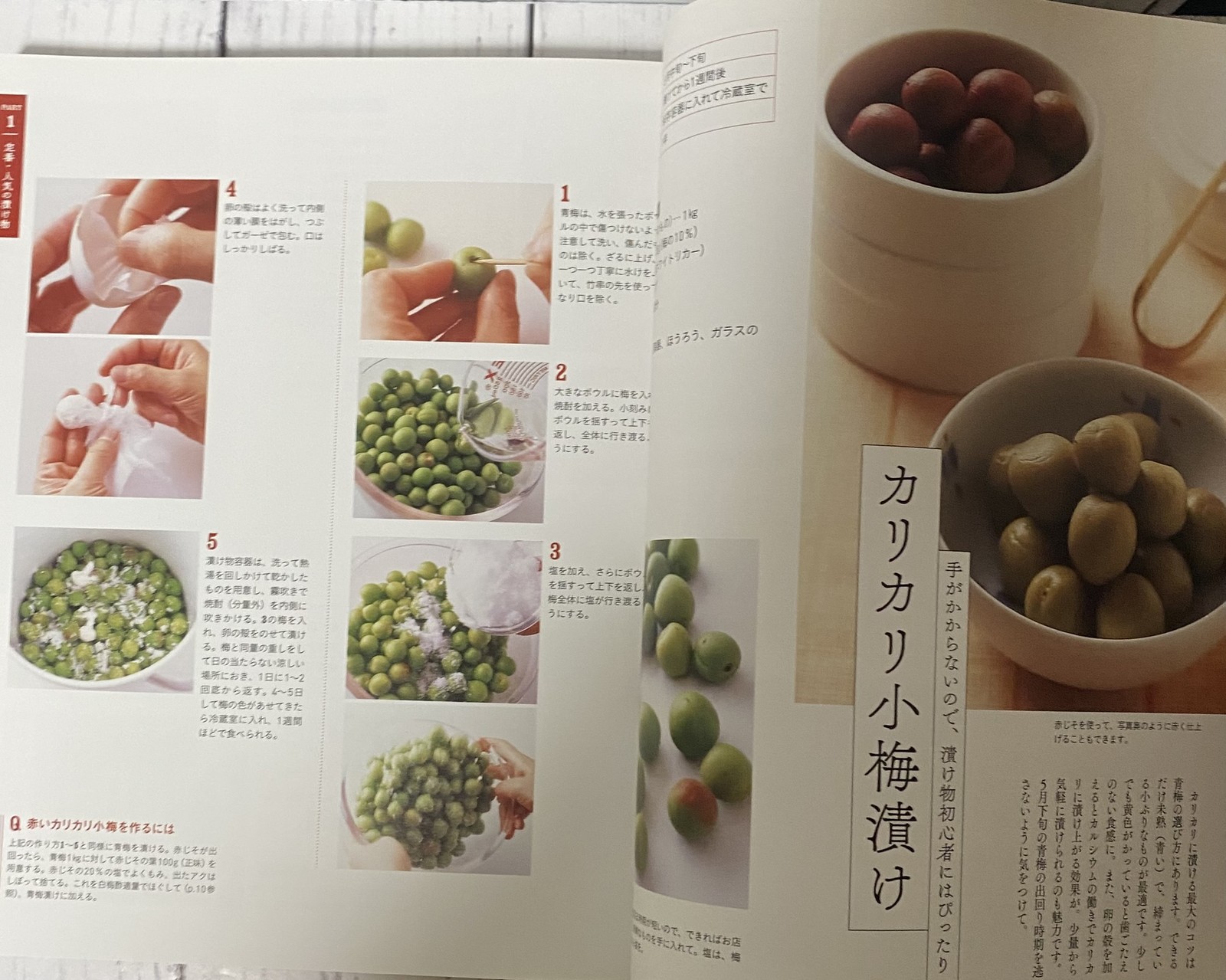 Japanese Umeboshi, Pickles & Preserves Foods 155 Easy Homemade Recipes