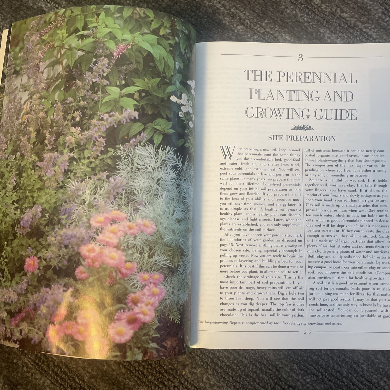 1991 PERENNIALS Burpee American Gardening Series by Suzanne F. Bales