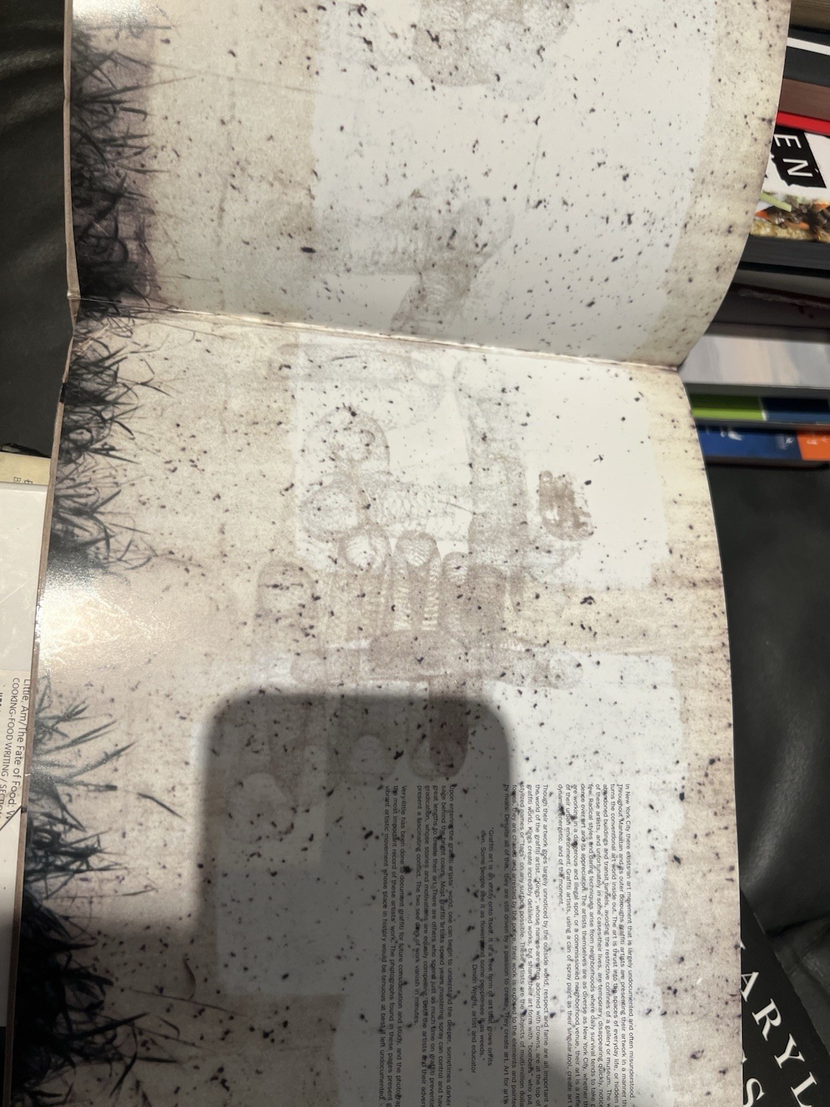 Broken Windows Graffiti NYC by James Murray Karla Murray New York City Book