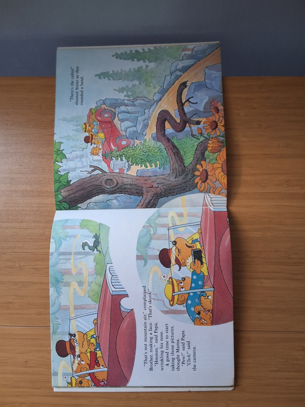 Vintage Variety Set Of Bernstein Bears Books. Lot Of 5