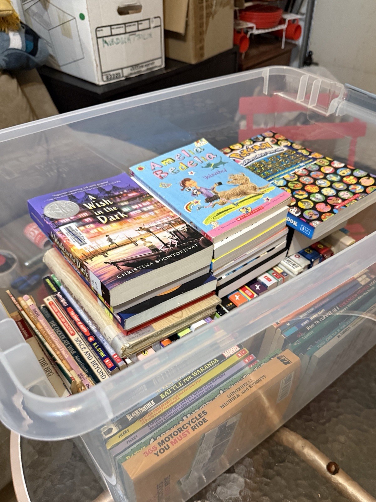 Huge Bulk Lot of 70+ Children’s Kids Chapter Books New and Vintage 5th-8th