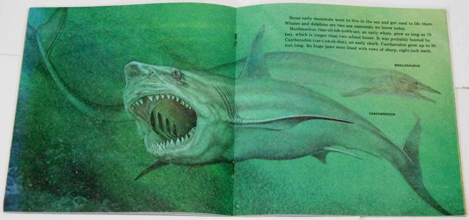 1978 Prehistoric Animals by Peter Zallinger Random House (PB)
