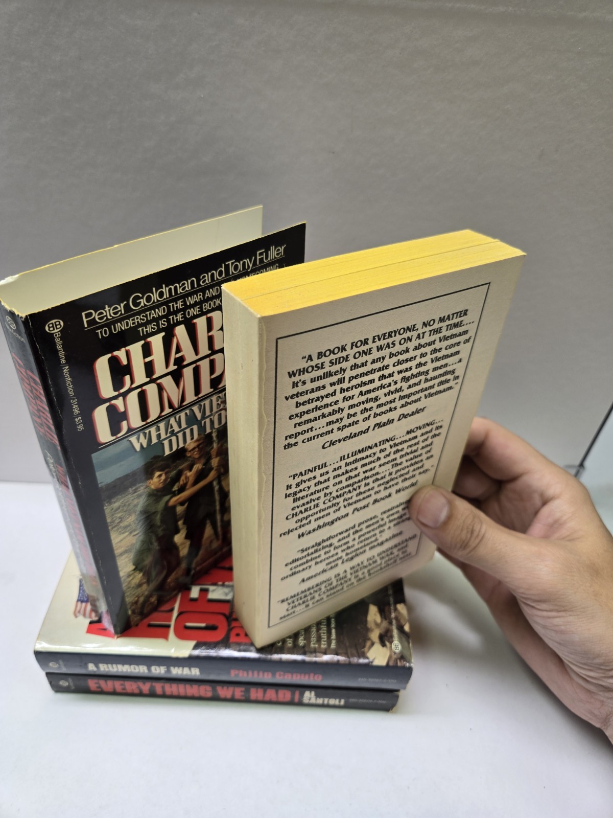 Vietnam History: Everything We Had, The Rumor Of War & Charlie Company Box Set