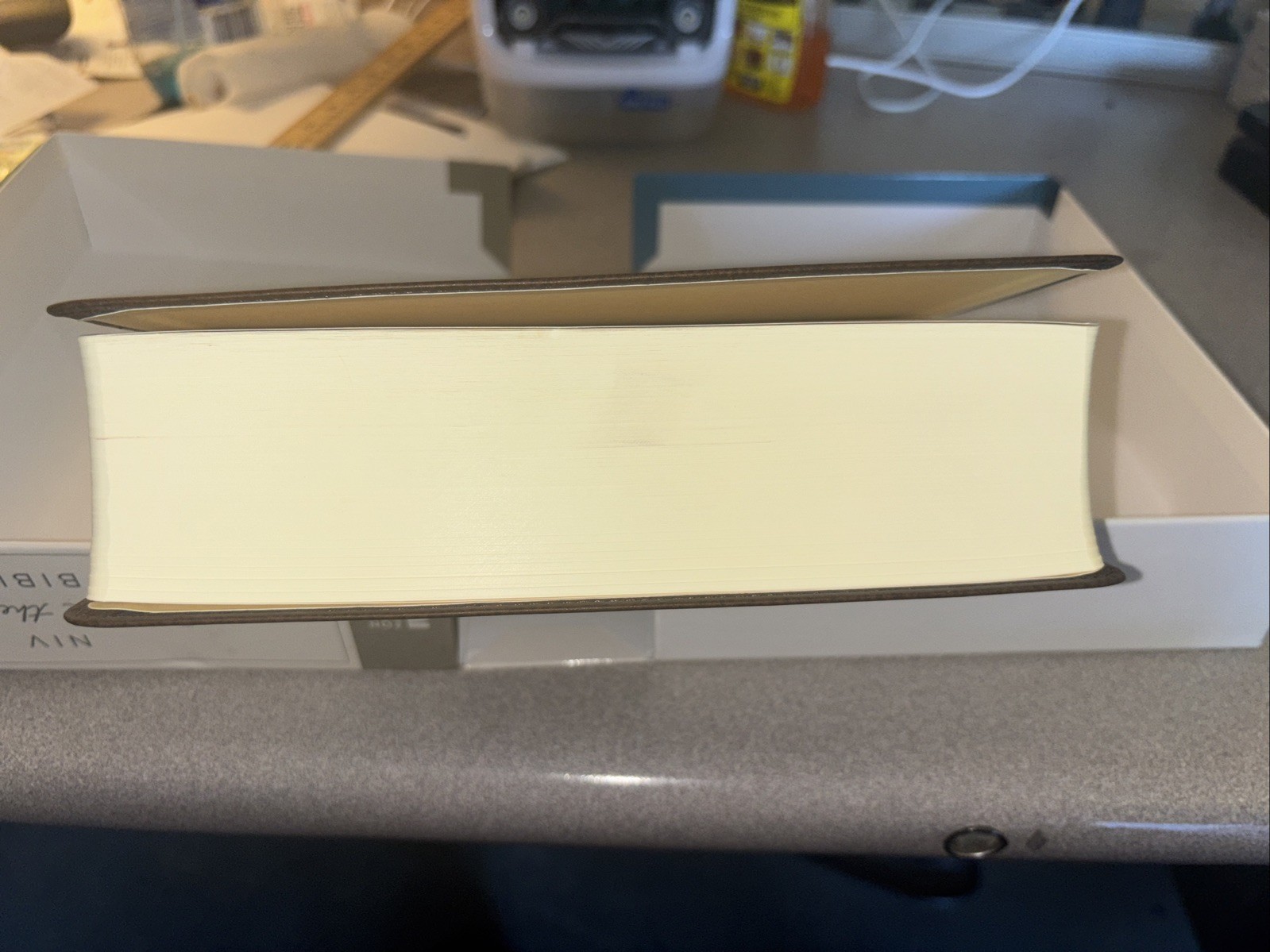 NIV Journal The Word Bible Large Print Open Box Joel Osteen Ministries