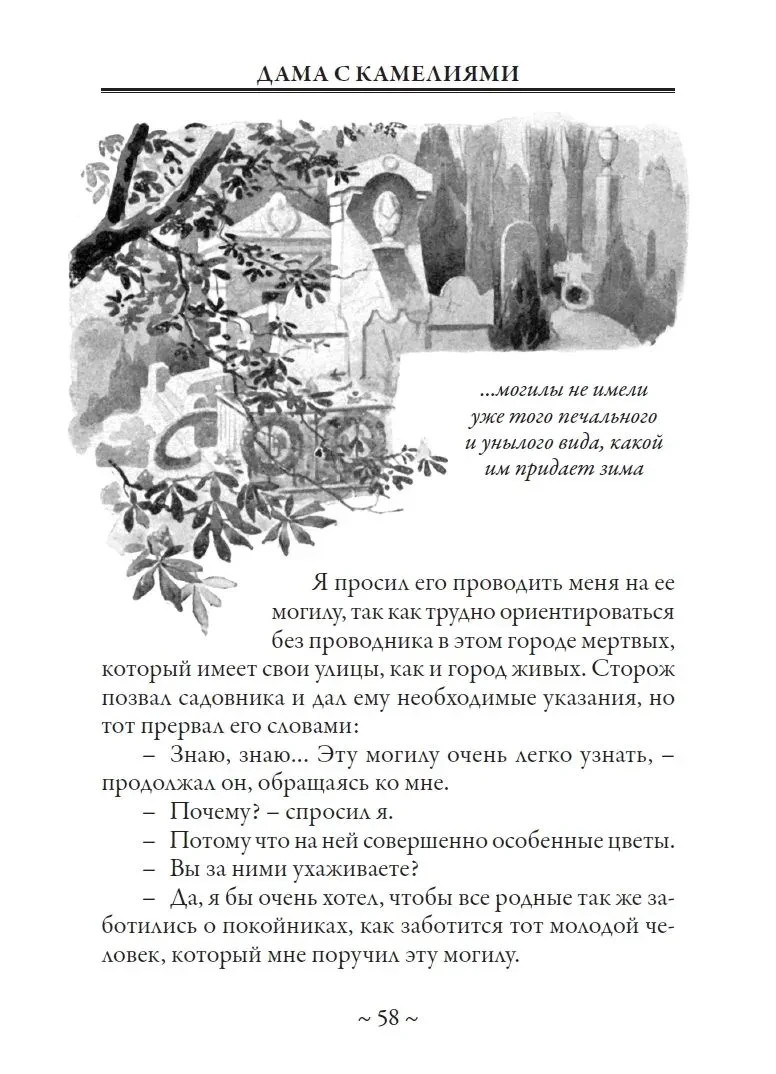 Дама с камелиями БМЛ Александр Дюма