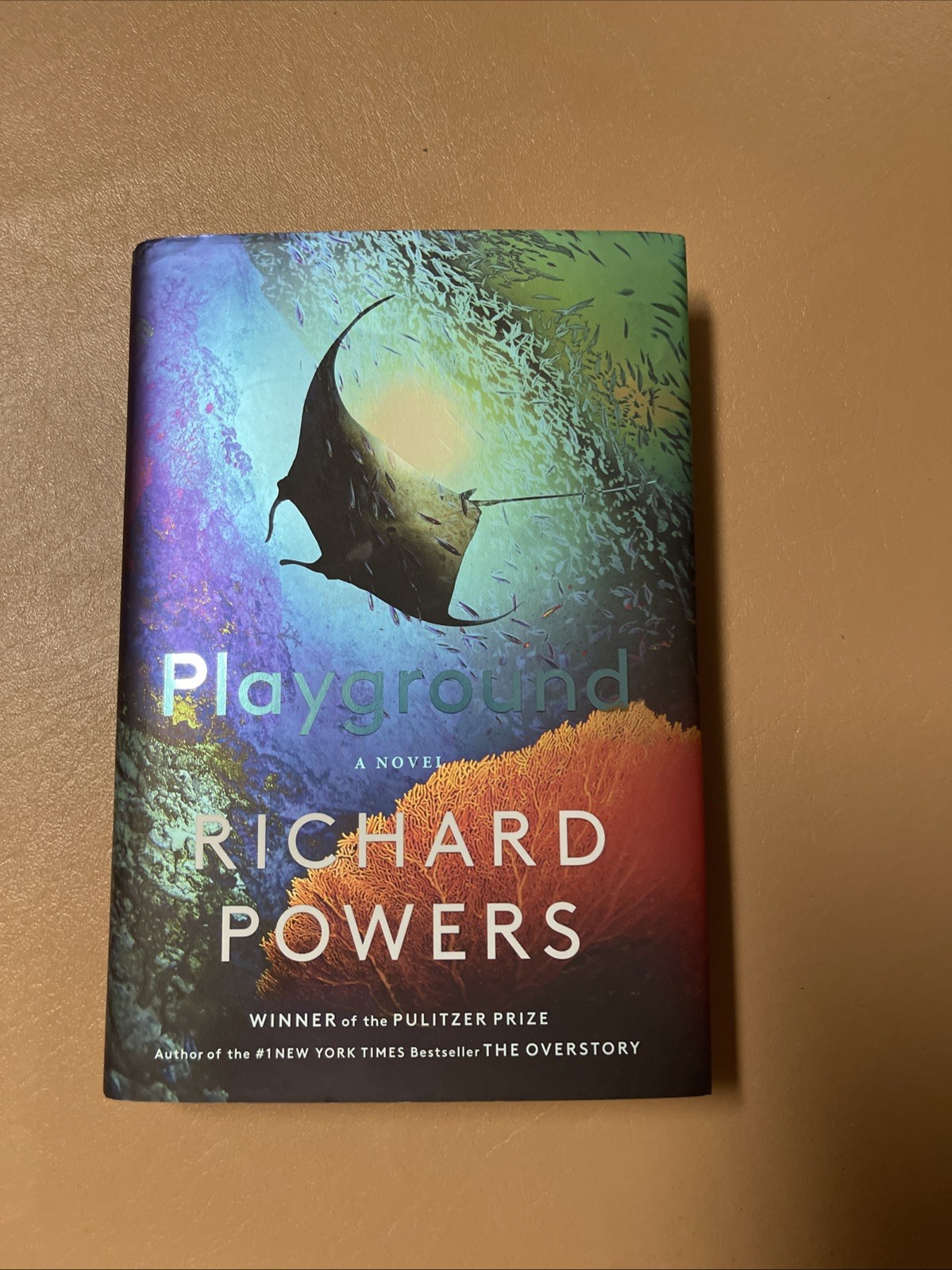Playground Hardcover Richard Powers