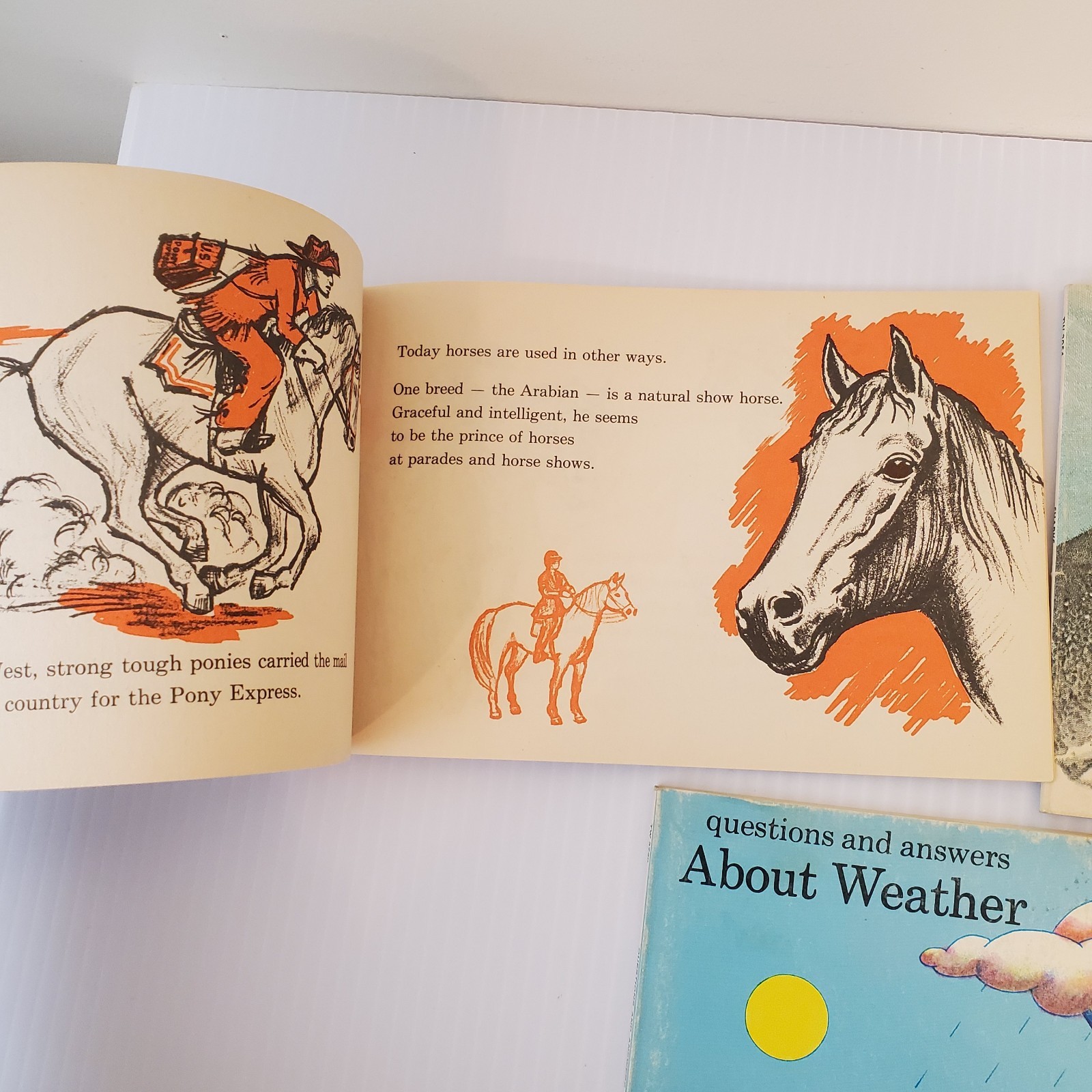 Lot of 3 Scholastic Books Horses Richard Harris, Sharks Tinkelman, About Weather