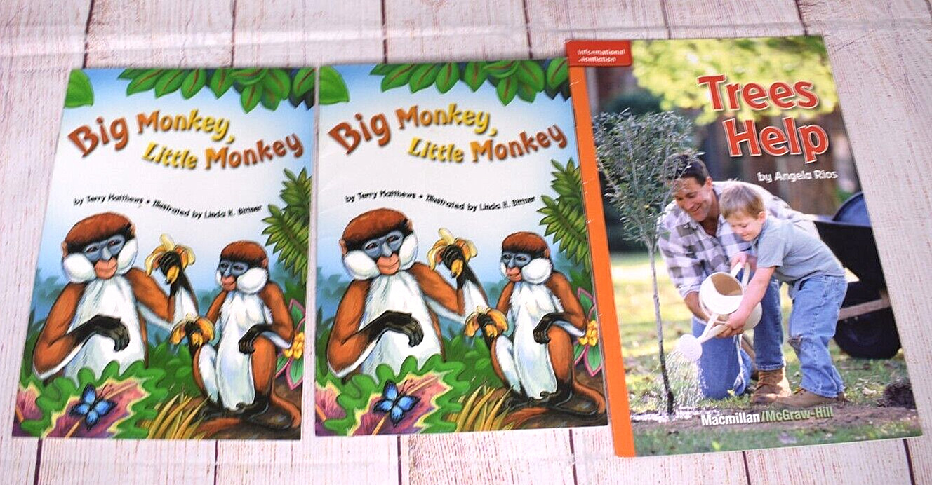 Lot of 13 Phonics Reading Discovery Readers Decodable Learn to Read Books