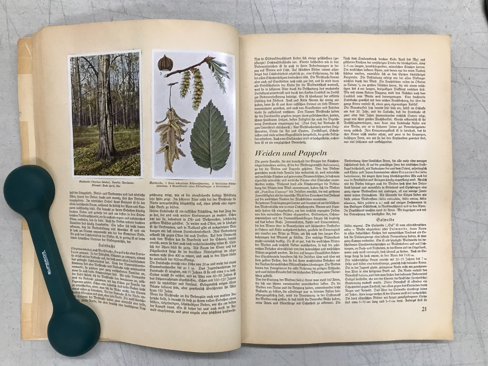 Aus Wald Und Flur – Two German Books 1937/1938 Plants and Animals, Set of 2 E-77