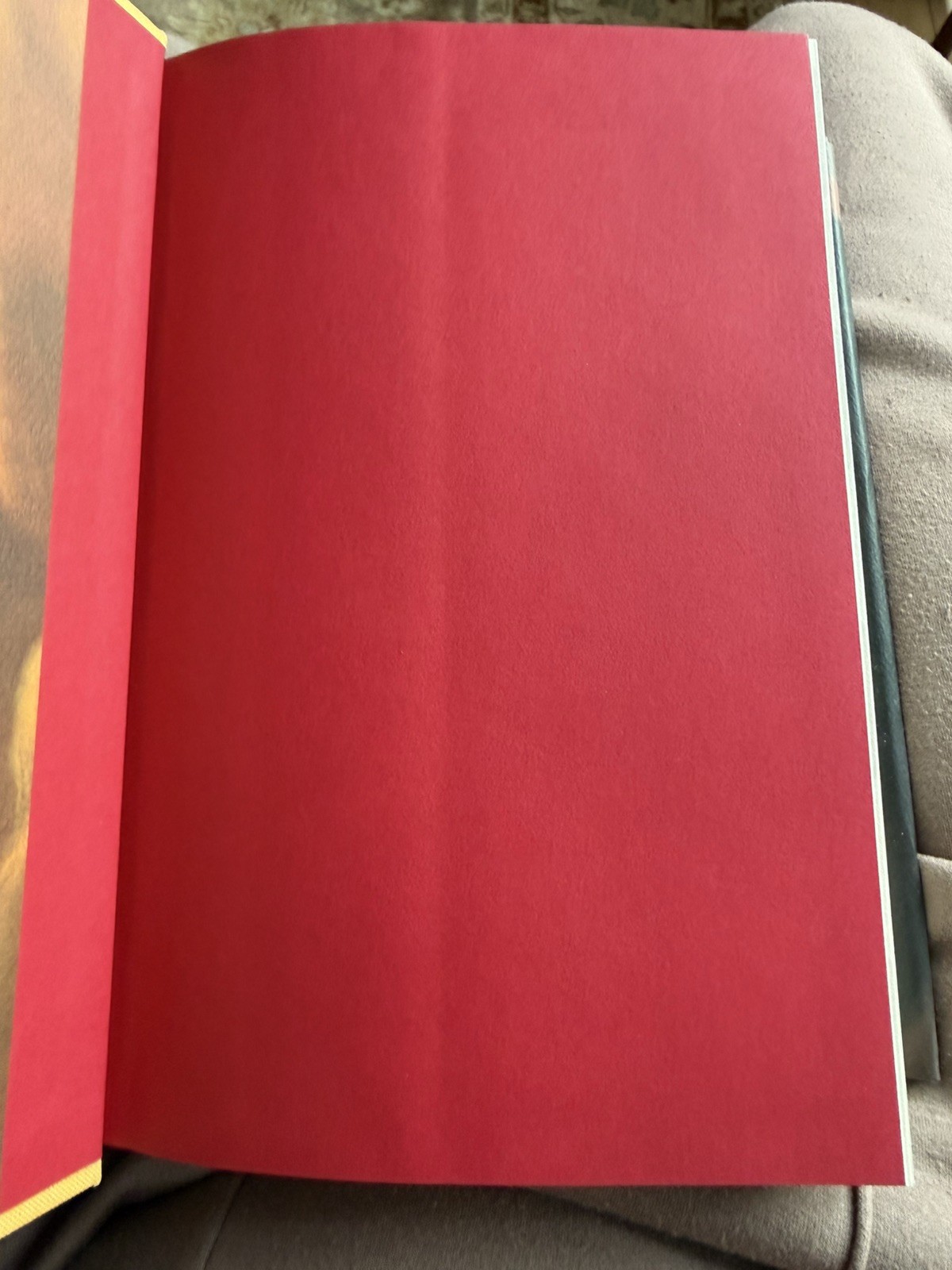 RARE HARRY POTTER And The Deathly Hallows-1st ed/1st printing p. 759 & Dust err