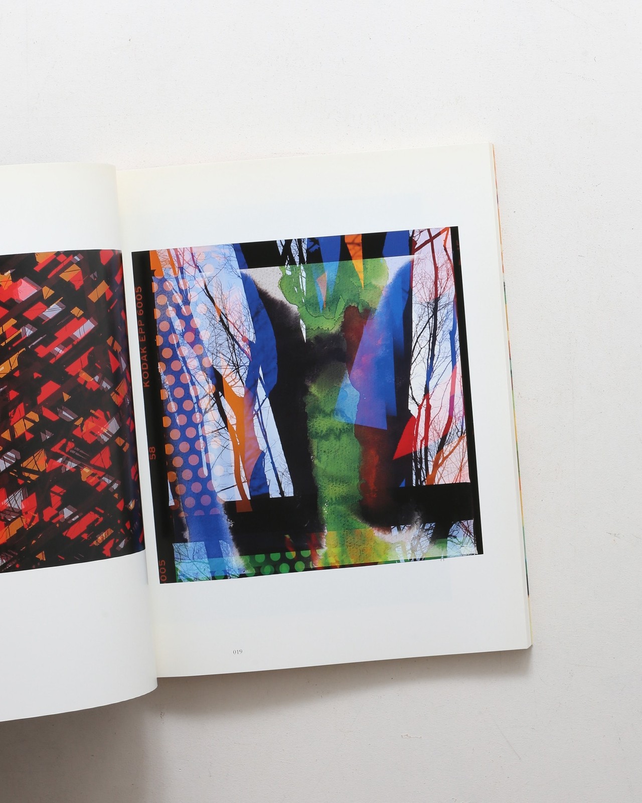Ishimoto Yasuhiro Iro to Katachi Photography Flowers Photo Book Hardcover
