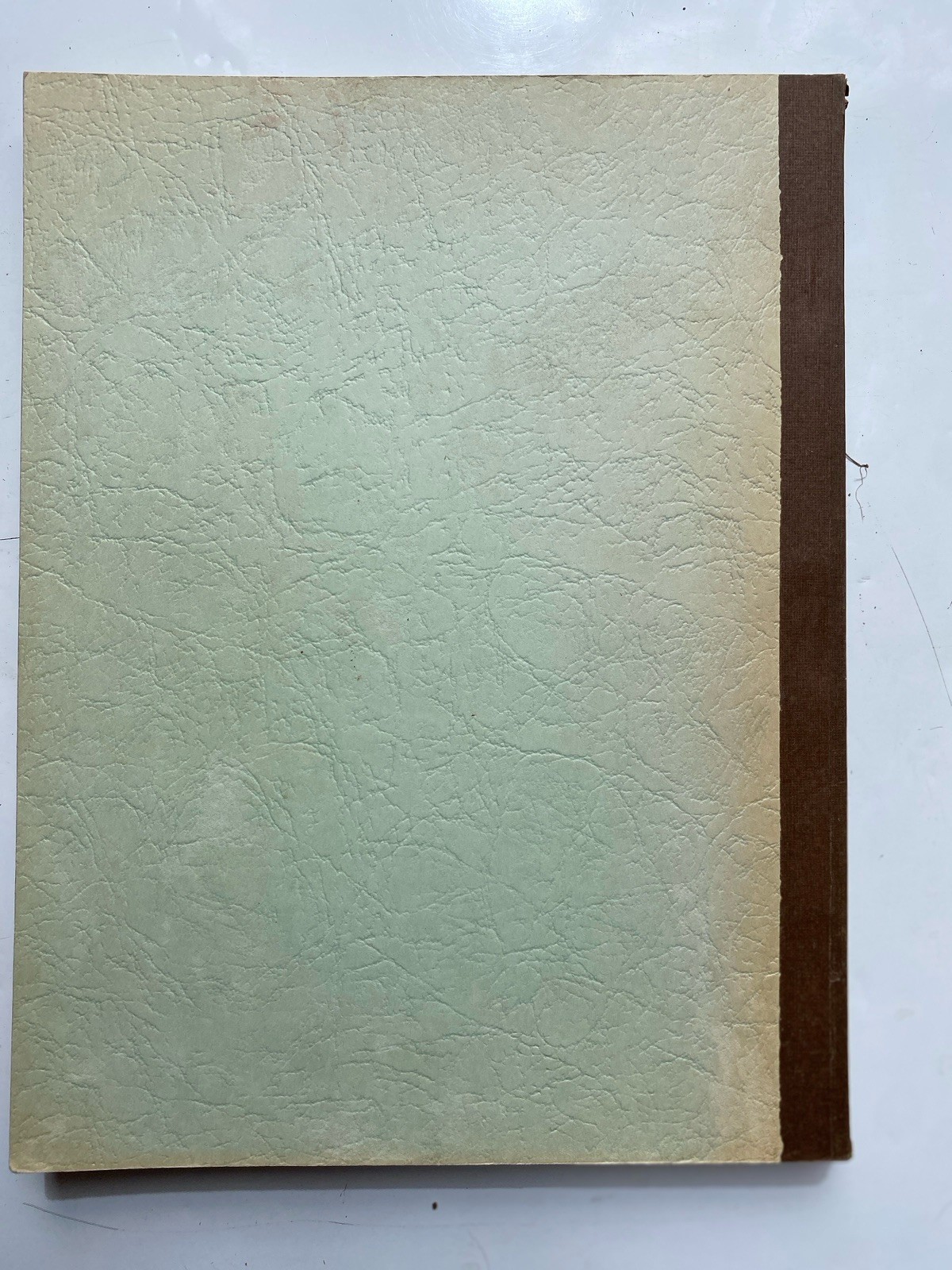 Curry Cousins 1785 To 1974 Carolyn Reeves Ericson Genealogy PB