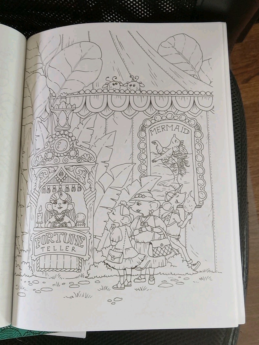 Lot Of 3 Whimsical Adult Coloring Books