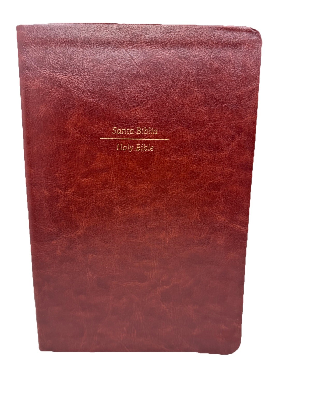 Biblia Bilingüe Reina Valera 1960 (ESV) Bilingual Bible/Print Brown index