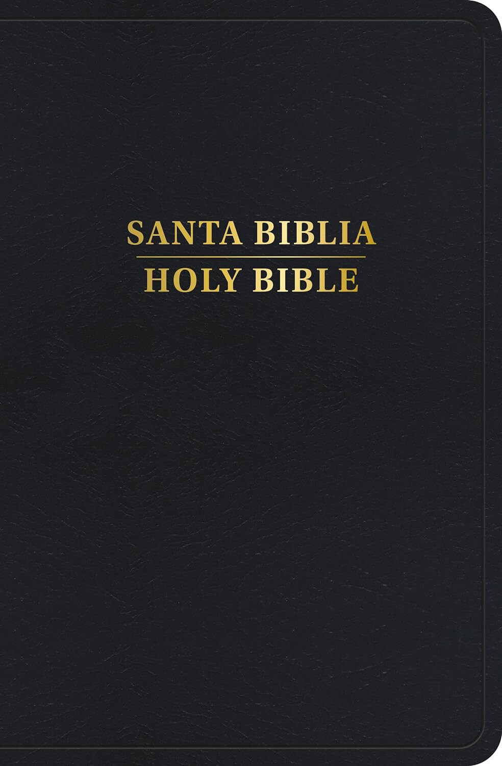 Bilingual Spanish English Bible Biblia Bilingue Rvr 1960/KJV Black Personal Size