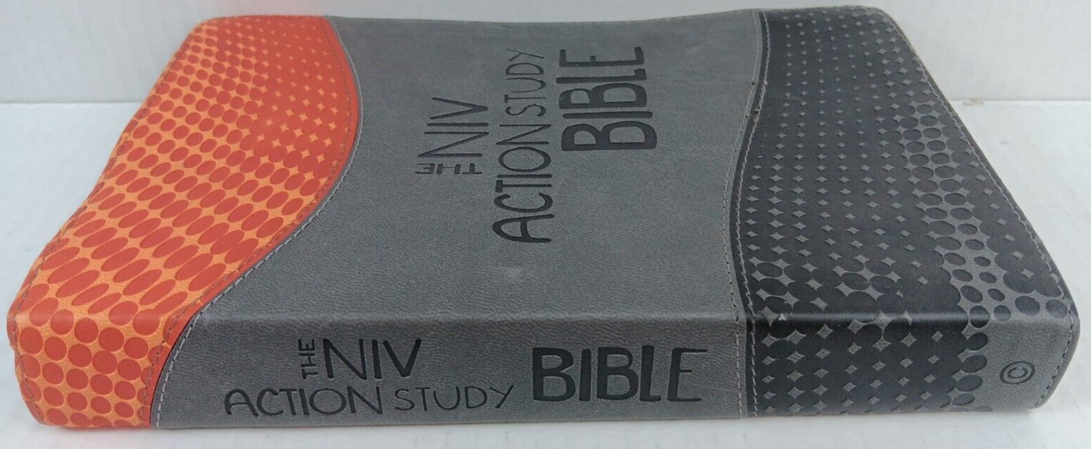 The NIV Action Study Bible – Premium Edition by Sergio Cariello / David C. Cook