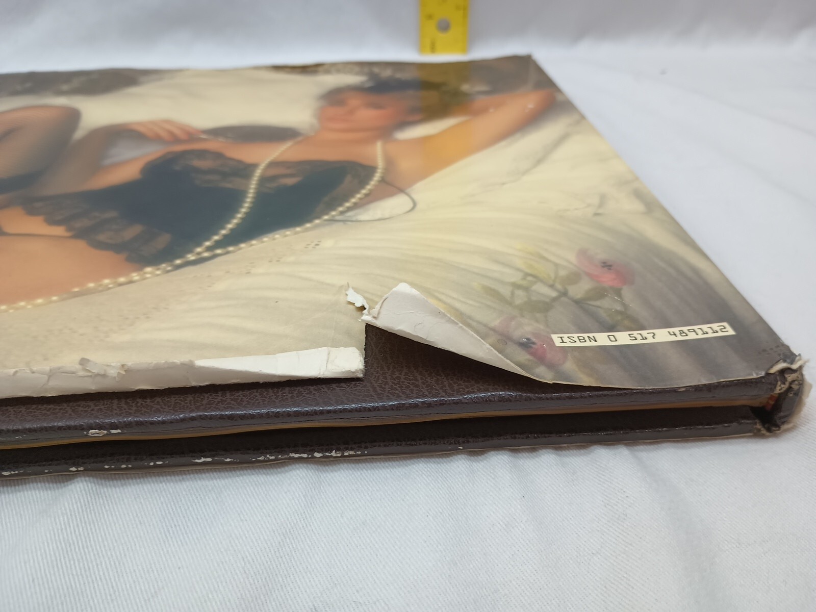 The Lingerie Book by Caroline Hamilton-Fleming Arlington House 1985