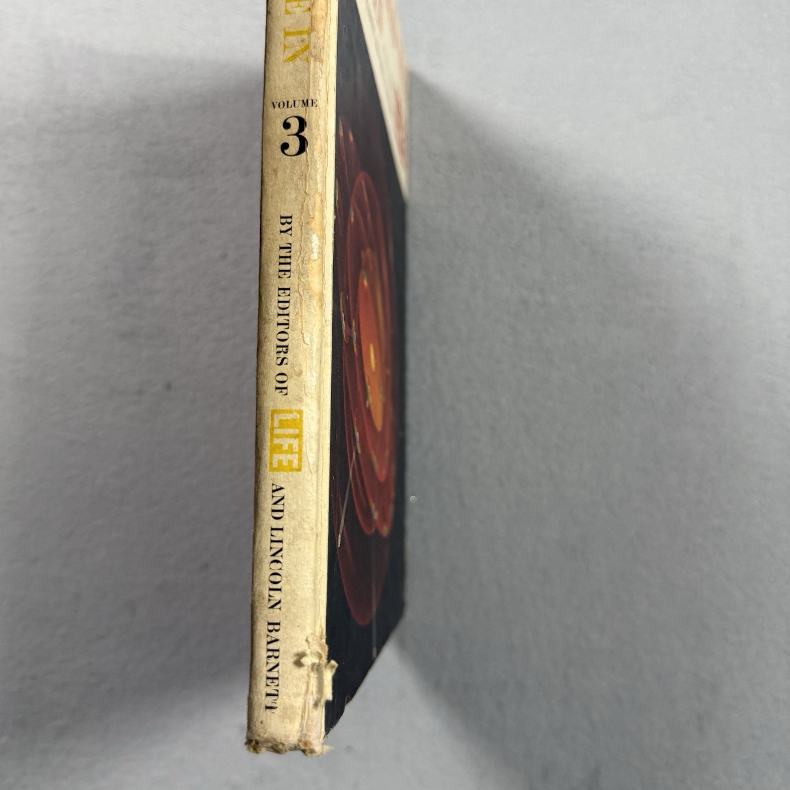 The World We Live In Vol 3 LIFE Special Family Edition 1963 Vintage Book
