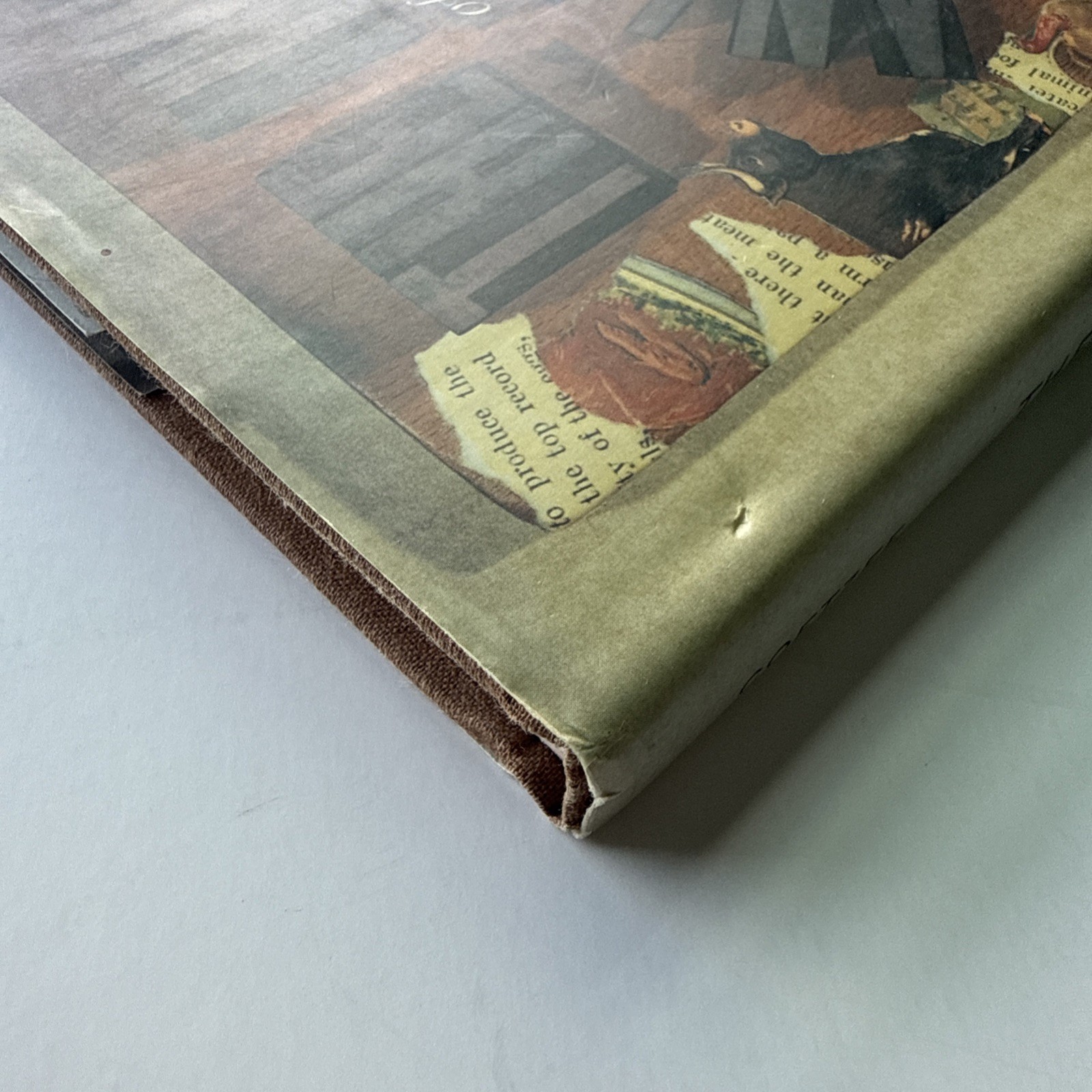 SIGNED COPY. The Lives of Animals, Coetzee, J. M., 9780691004433