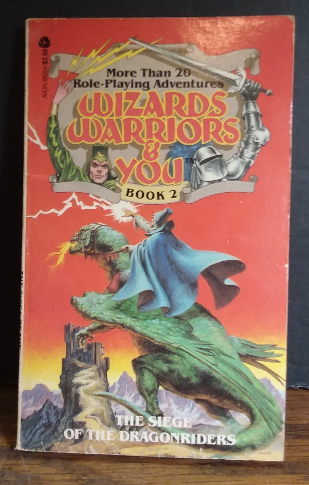 Wizards Warriors and You Book 2 – Siege of the Dragonriders – Solo Adventure