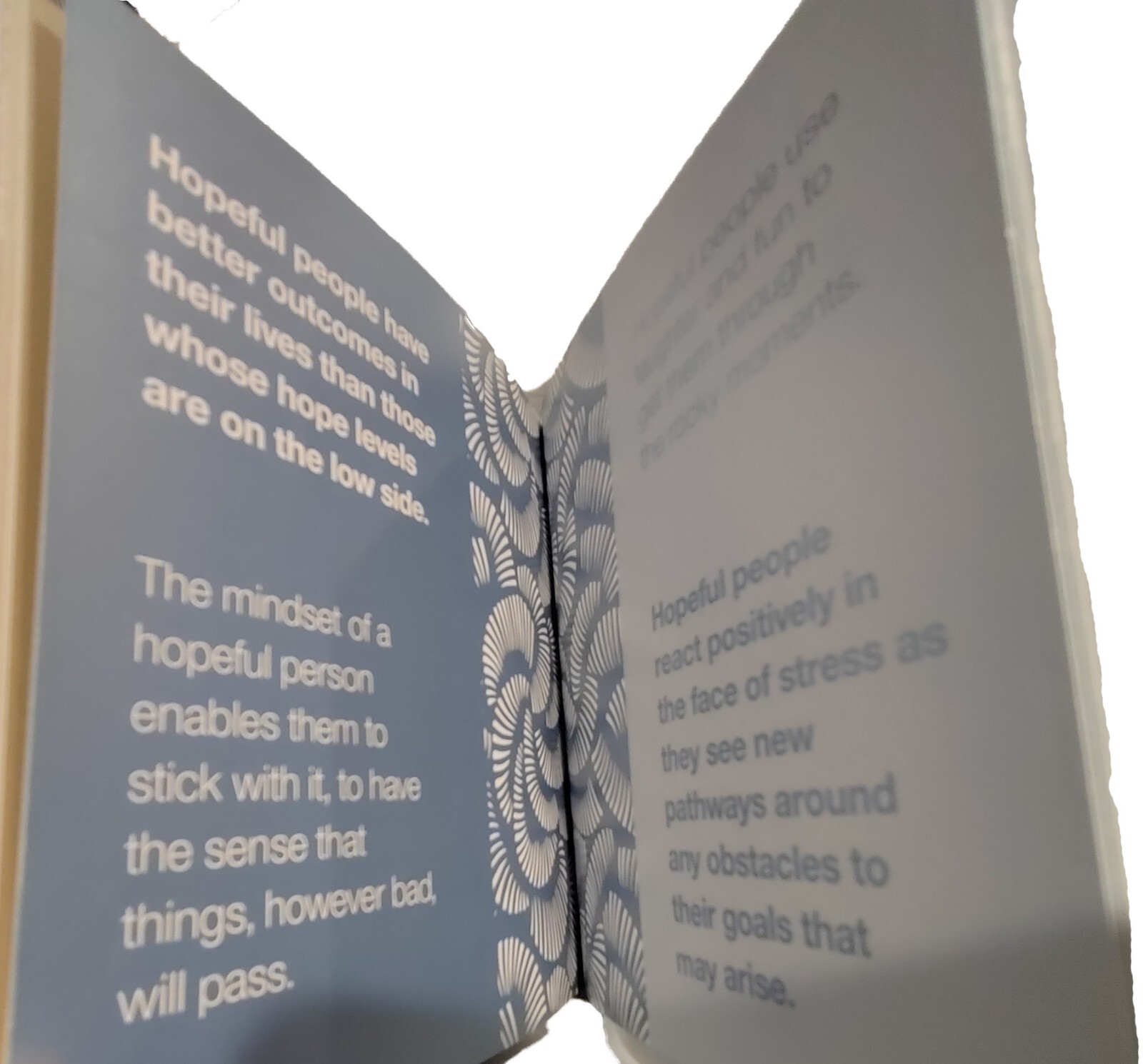 A Thousand Paths to Hope by Jane Garton: 466 Pages/Paths to Positivity of Hope