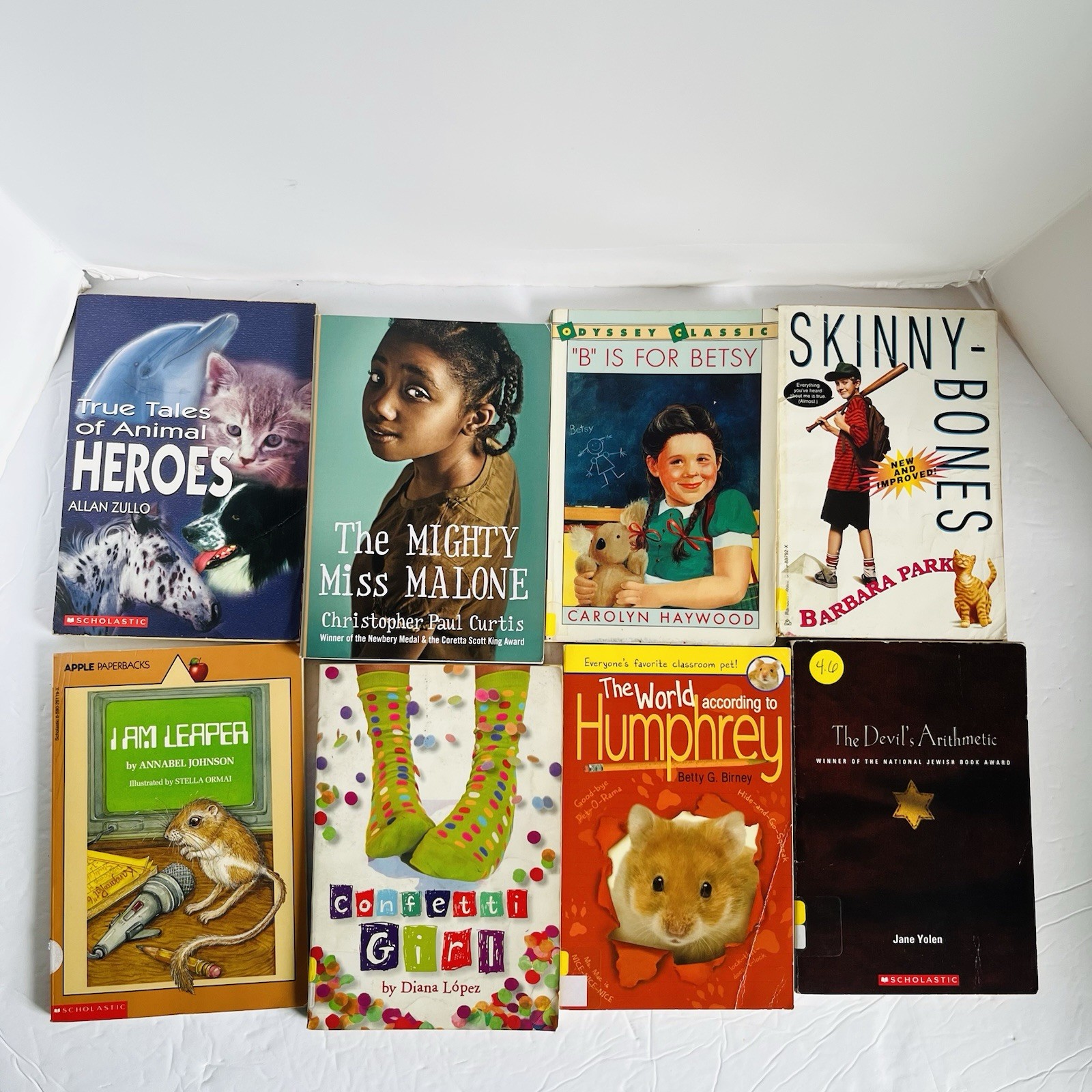 Lot of 10 Random 4th grade Children’s Kids Chapter Book Some series Elementary