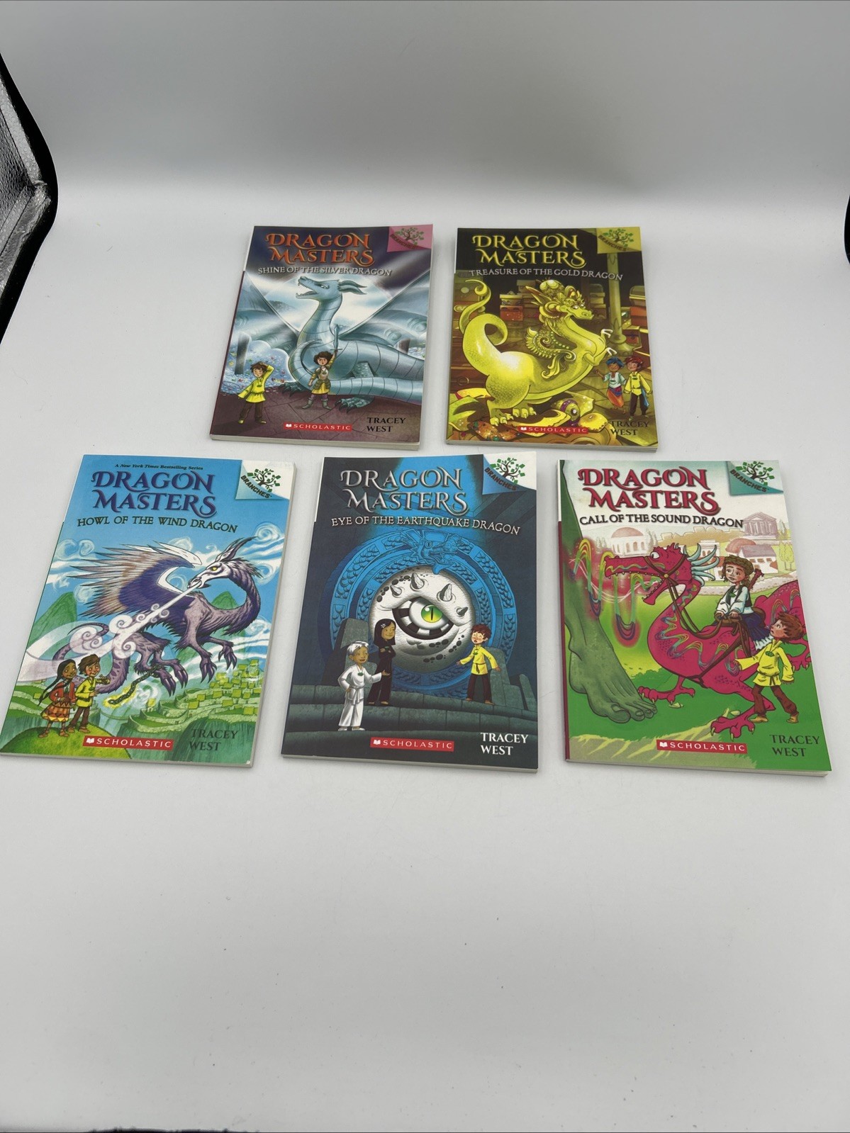 Dragon Masters Book Lot 13 PB Books Tracey West 2, 4-13, 16, 20 EUC Smoke Free