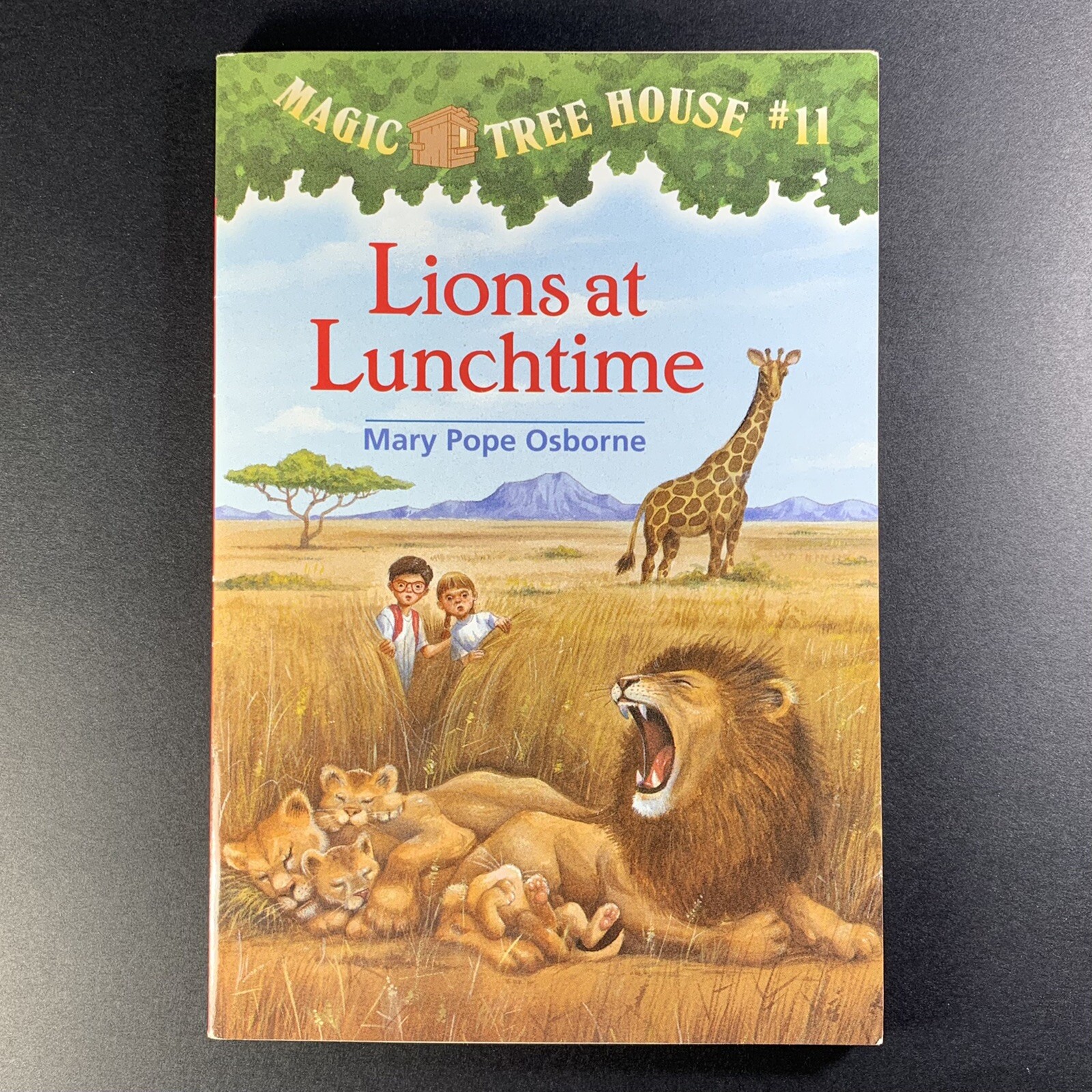 Lions At Lunchtime MAGIC TREE HOUSE #11 Mary Pope Osborne Scholastic 1998