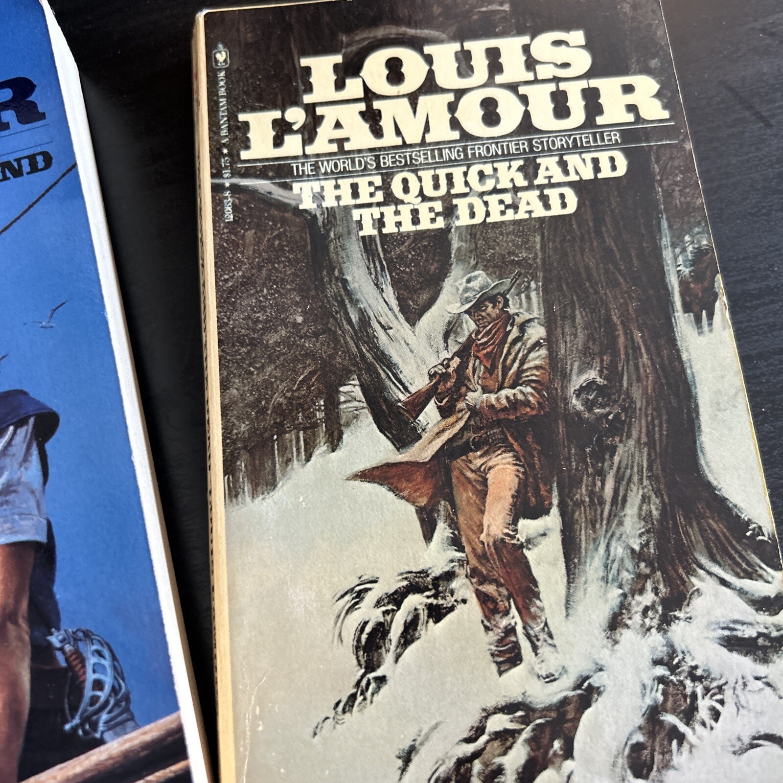 Lot of 10 Louis LAmour, paperback Western Books. Vintage Book Lot of 10