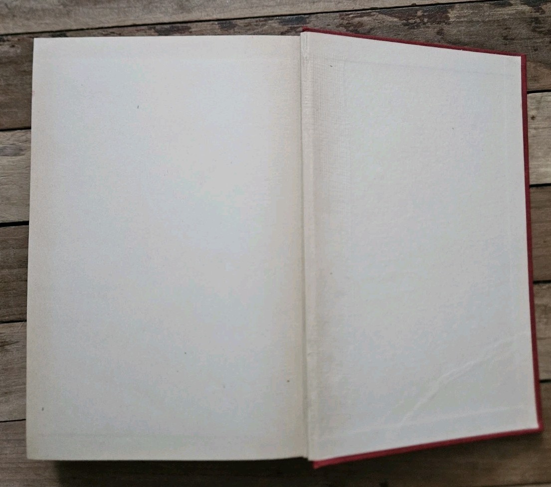 1904. Rare. The Mystery of Orcival by Emile Gaboriau | Illustrated Jules Guerin