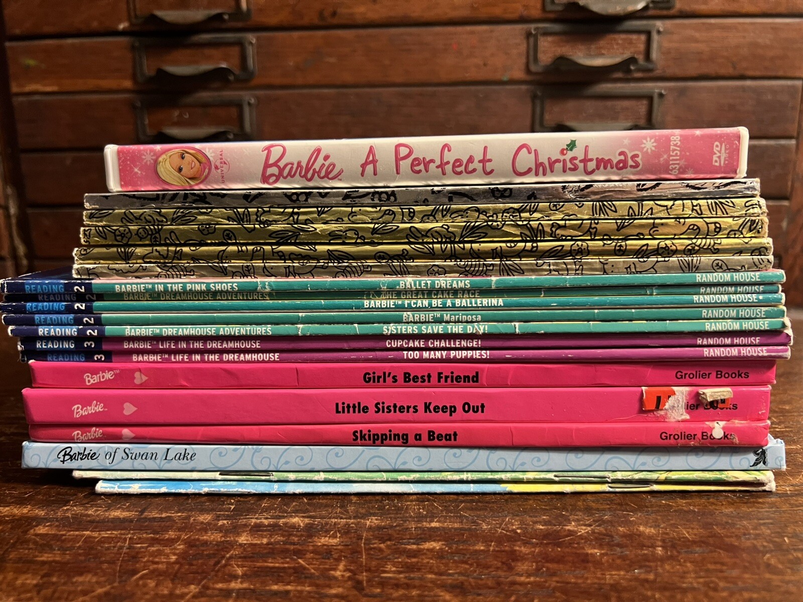 Lot of 19 Barbie: 18 Books, Xmas DVD; Step Reading 2 3; Golden; Fashion, Puppies